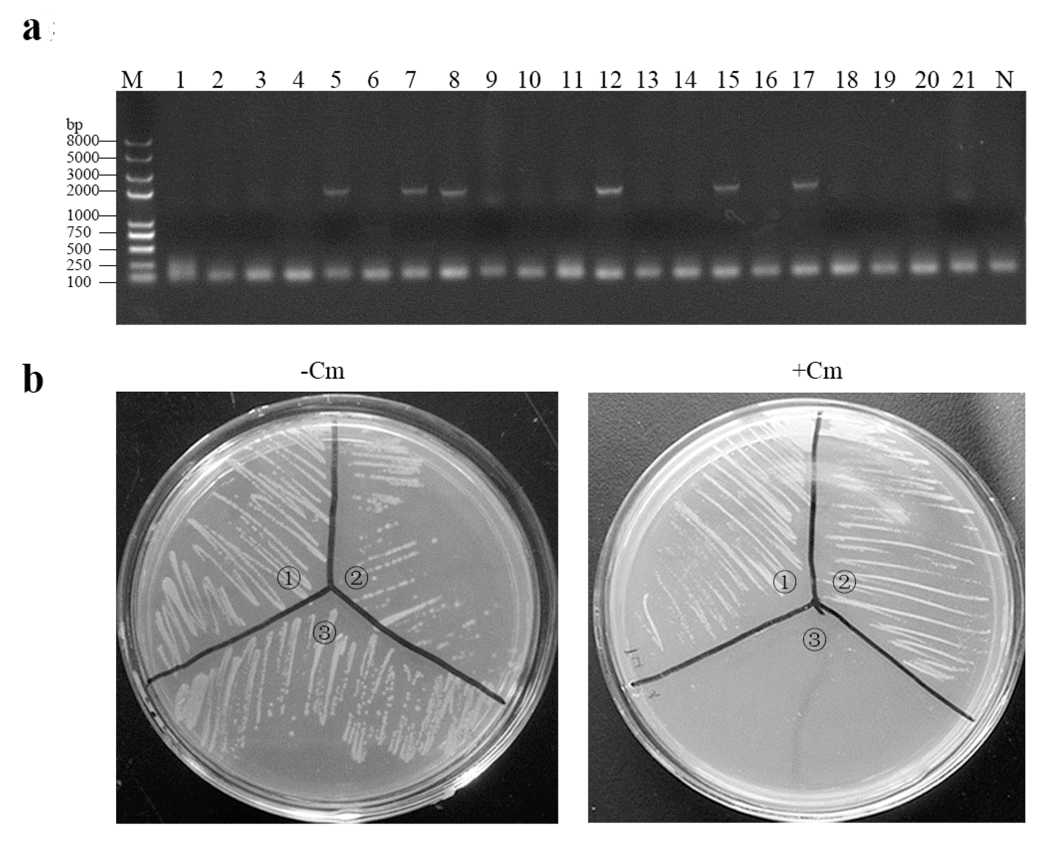 Viruses 09 00274 g002