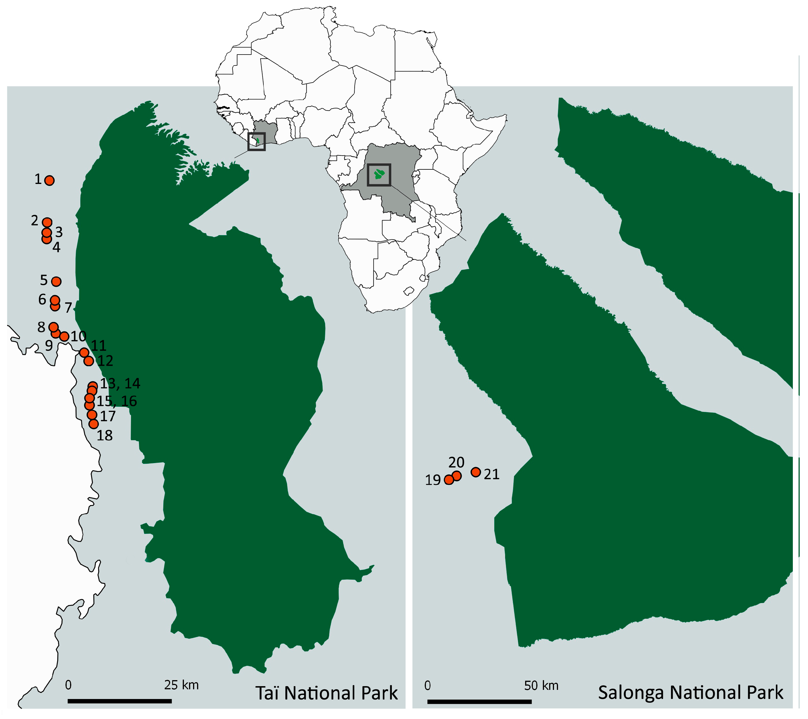 Viruses 09 00278 g001