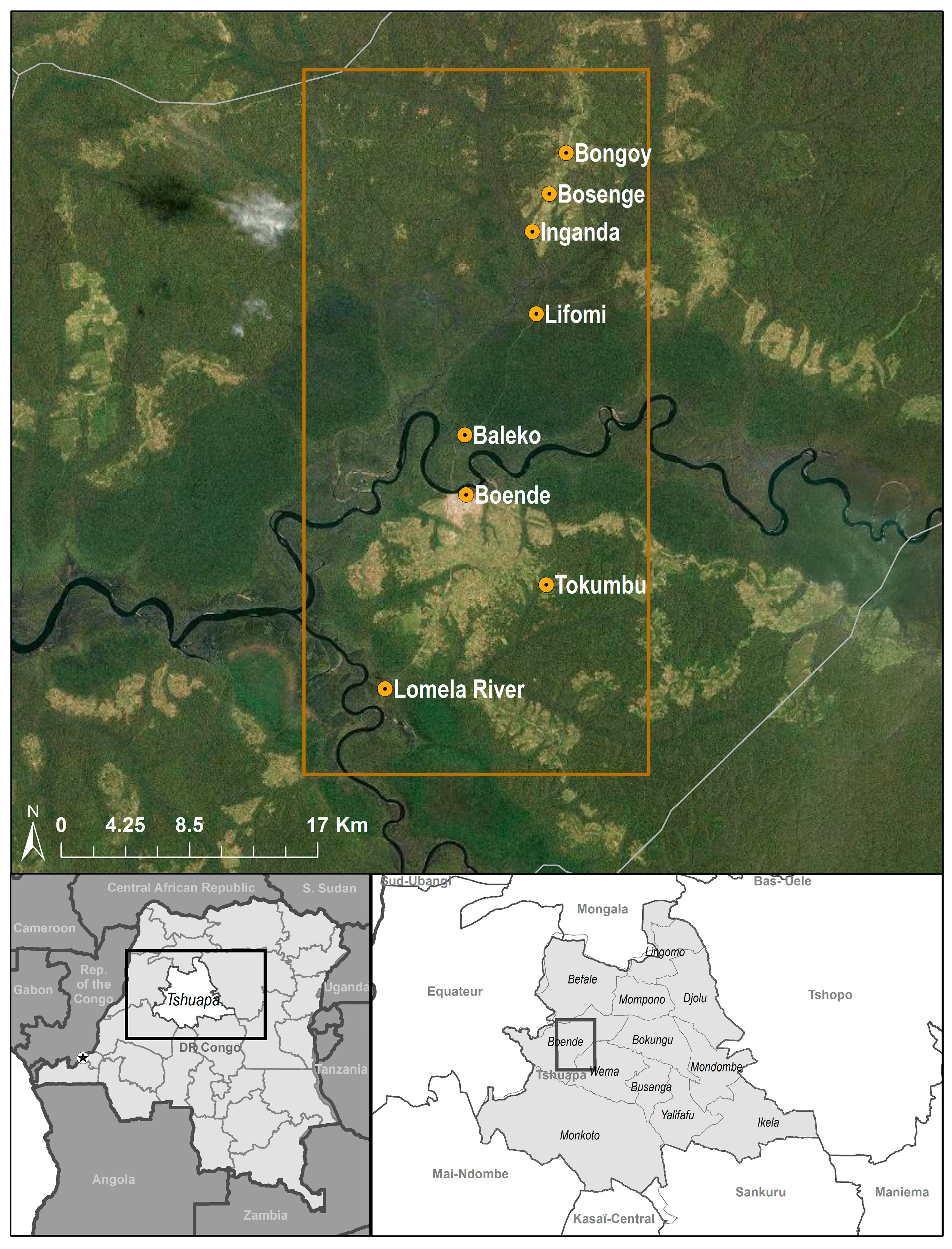 Viruses 09 00283 g001 Viruses 09 00283 g001