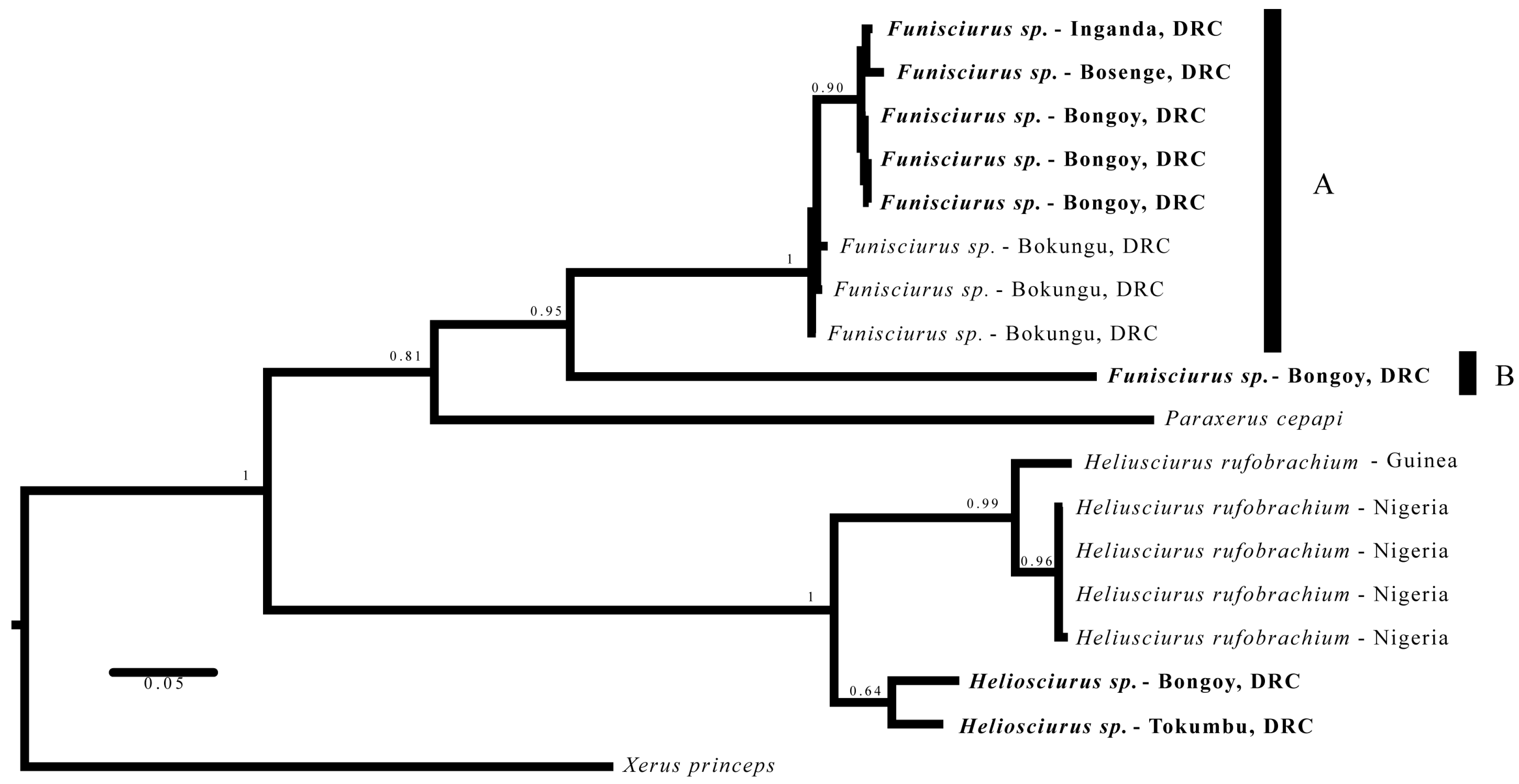 Viruses 09 00283 g003 Viruses 09 00283 g003