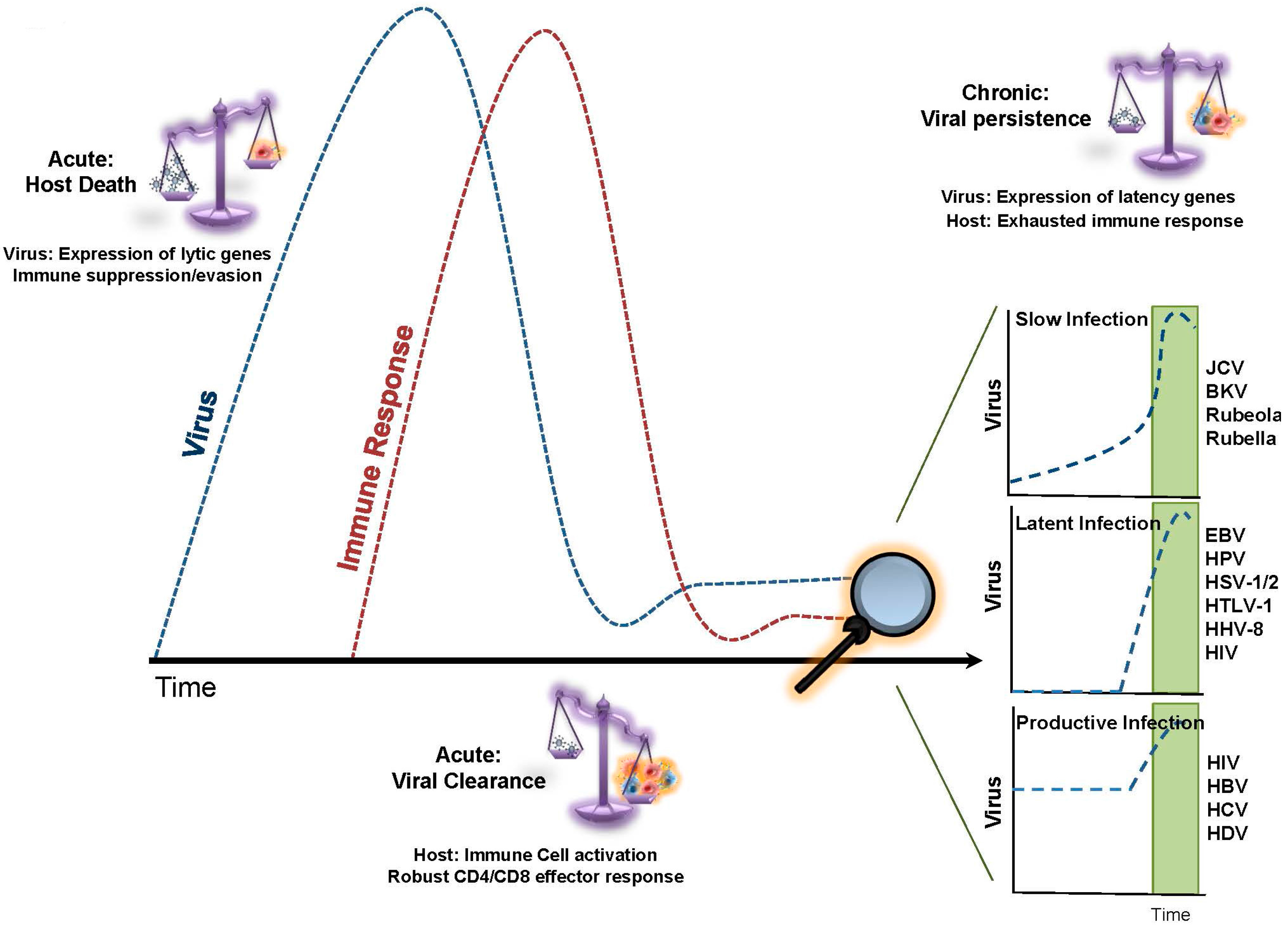 Viruses 09 00289 g001