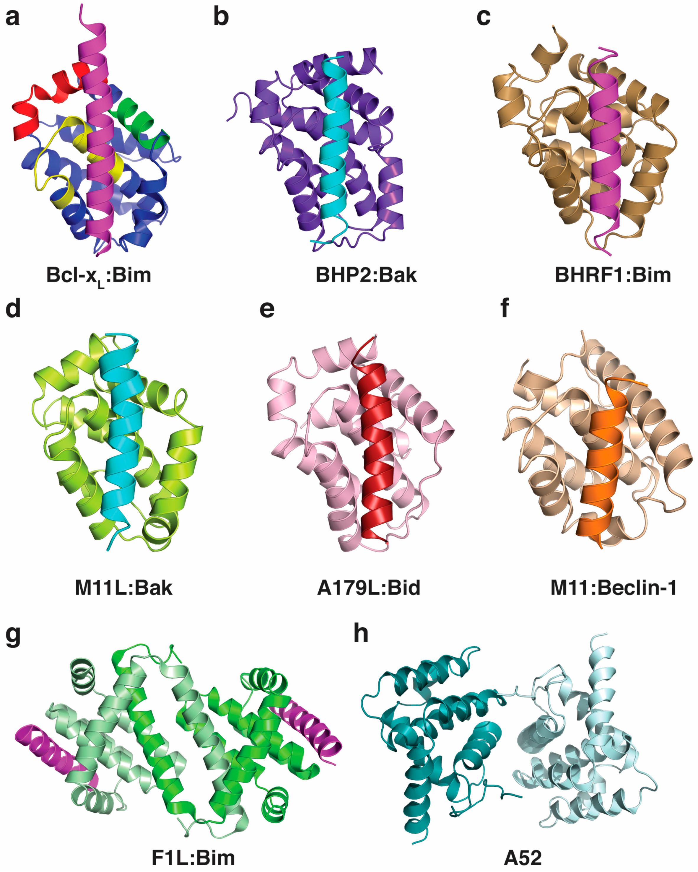 Viruses 09 00290 g002