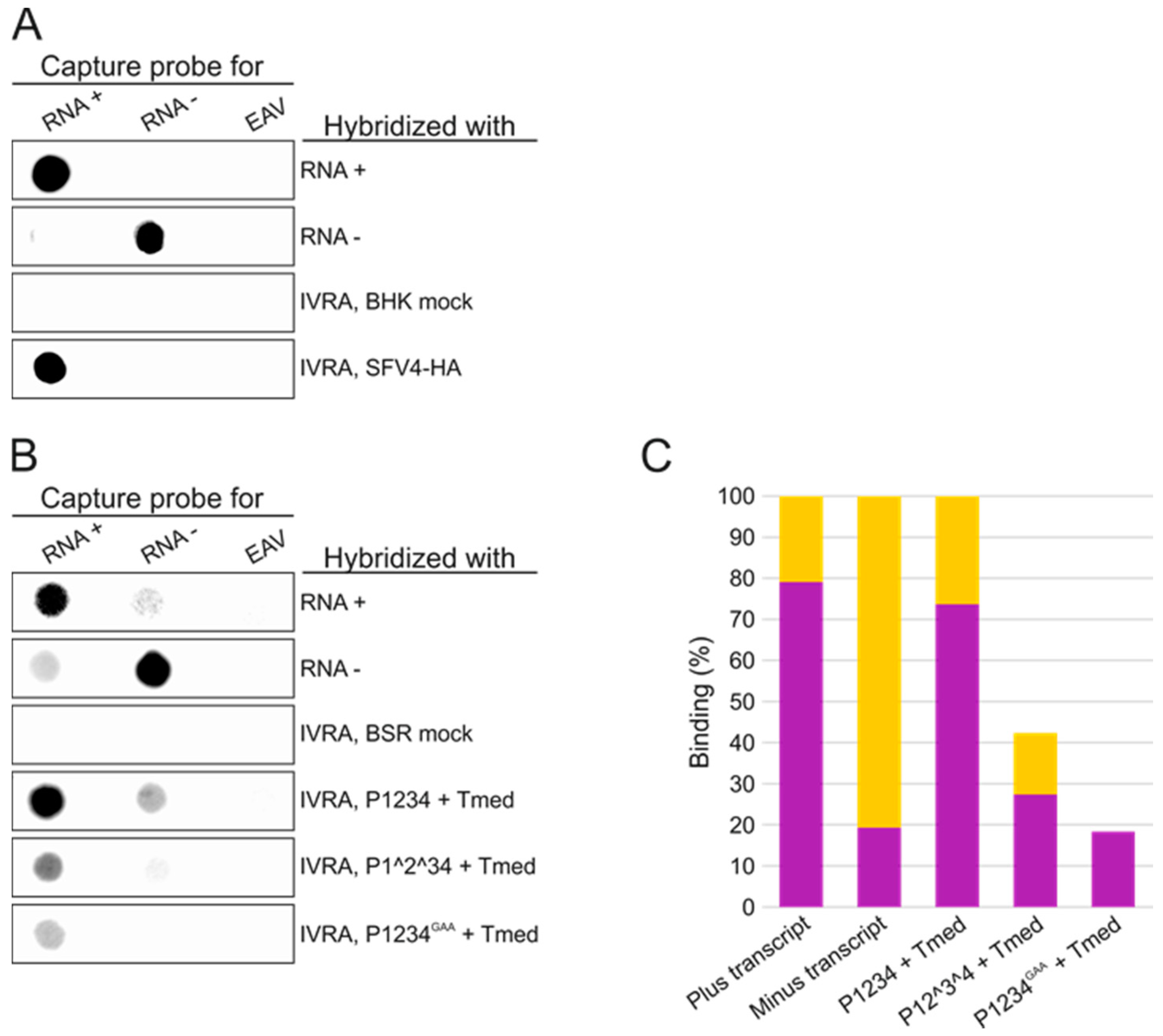 Viruses 09 00292 g005 Viruses 09 00292 g005