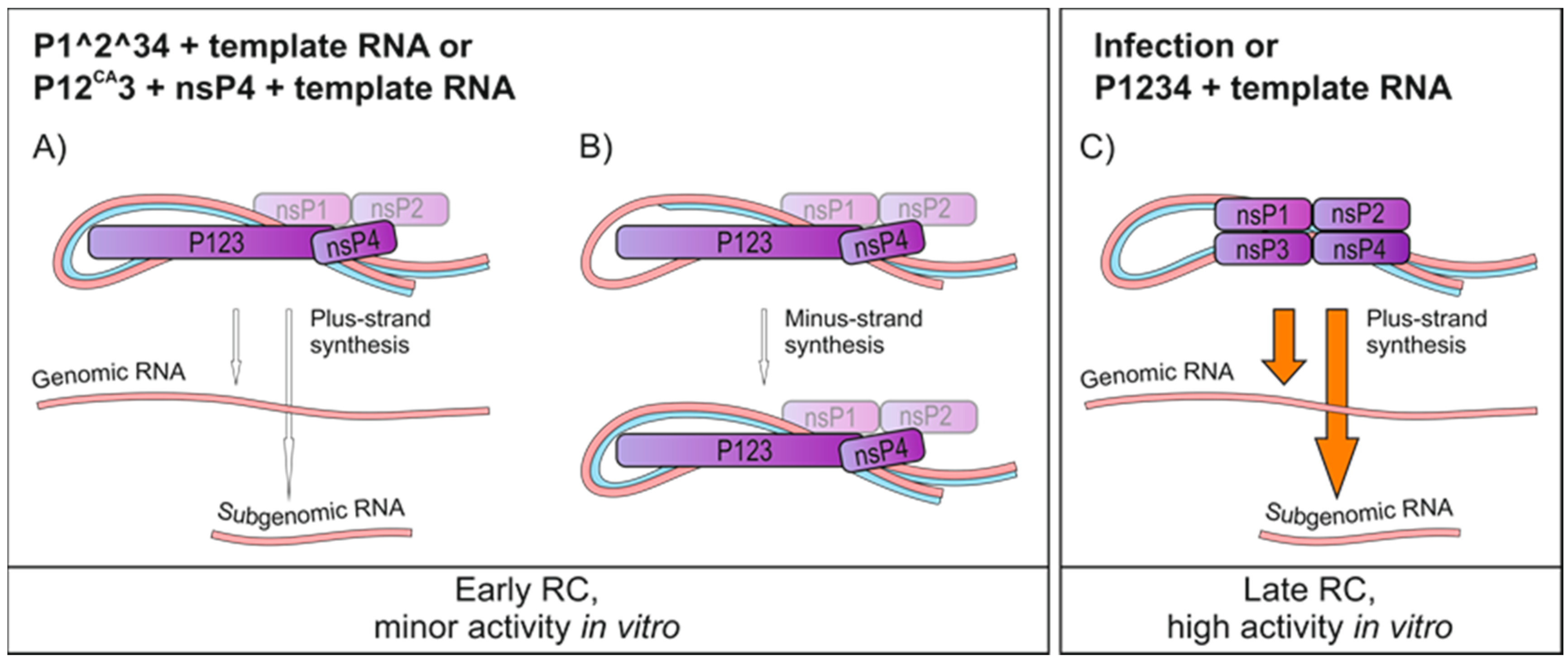 Viruses 09 00292 g008 Viruses 09 00292 g008