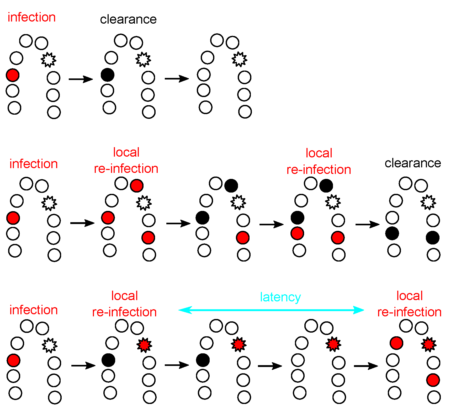 Viruses 09 00293 g004