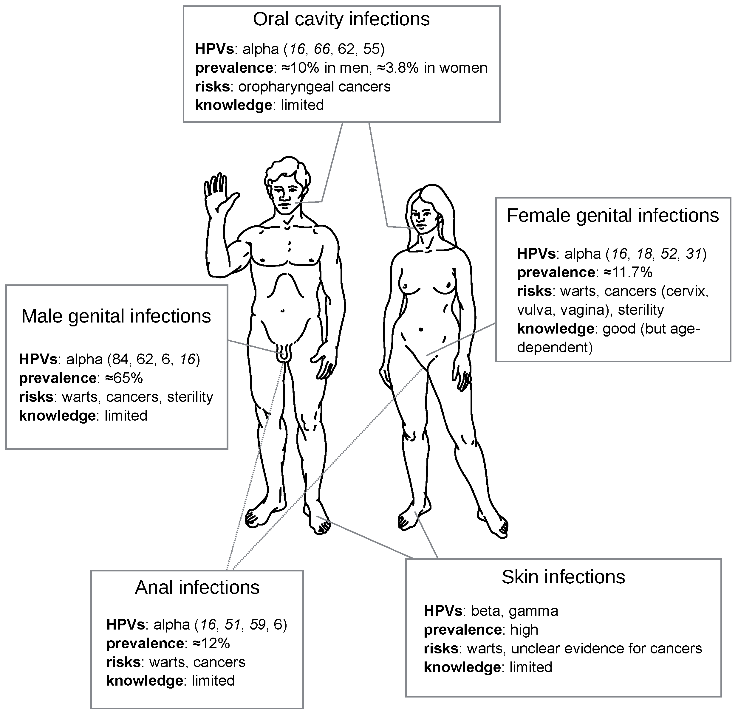 Viruses 09 00293 g005