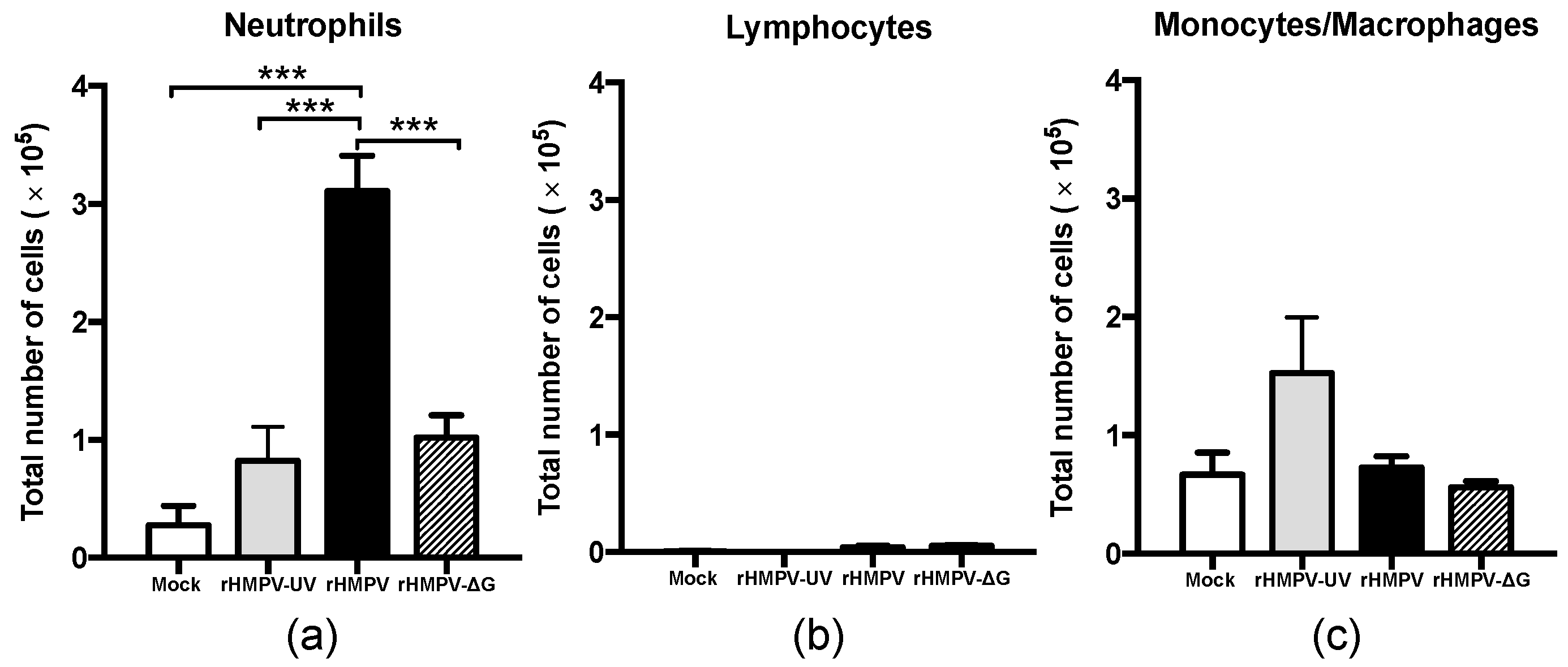 Viruses 09 00310 g002
