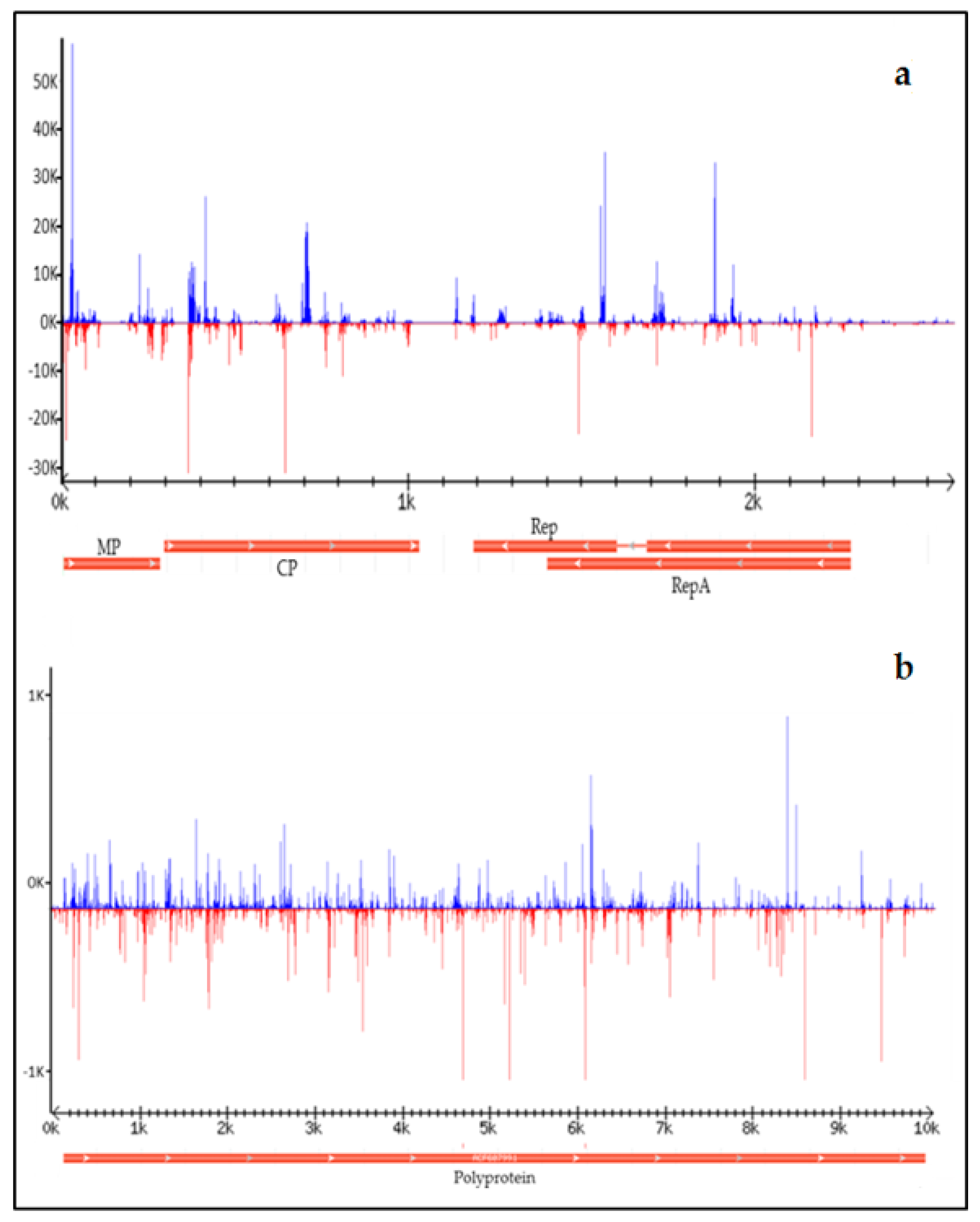 Viruses 09 00311 g002