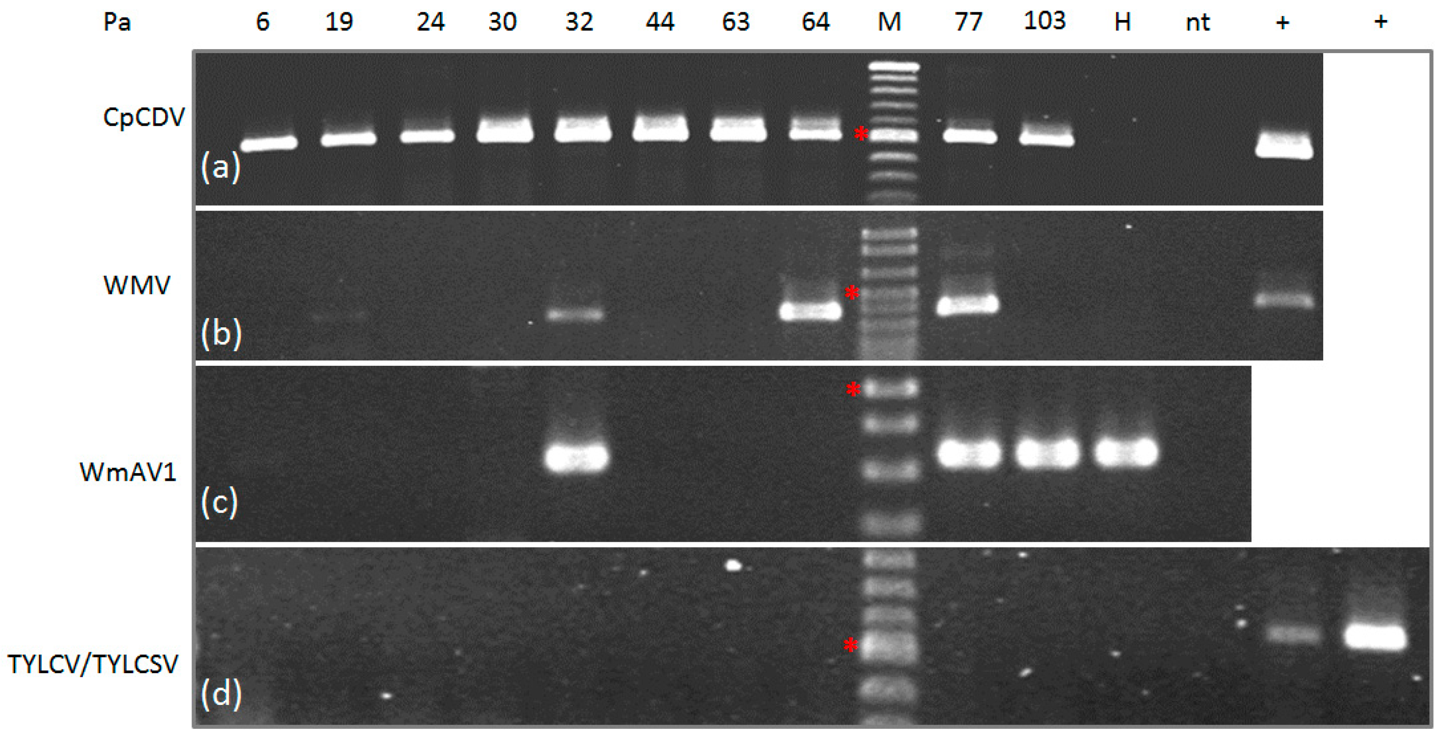 Viruses 09 00311 g003