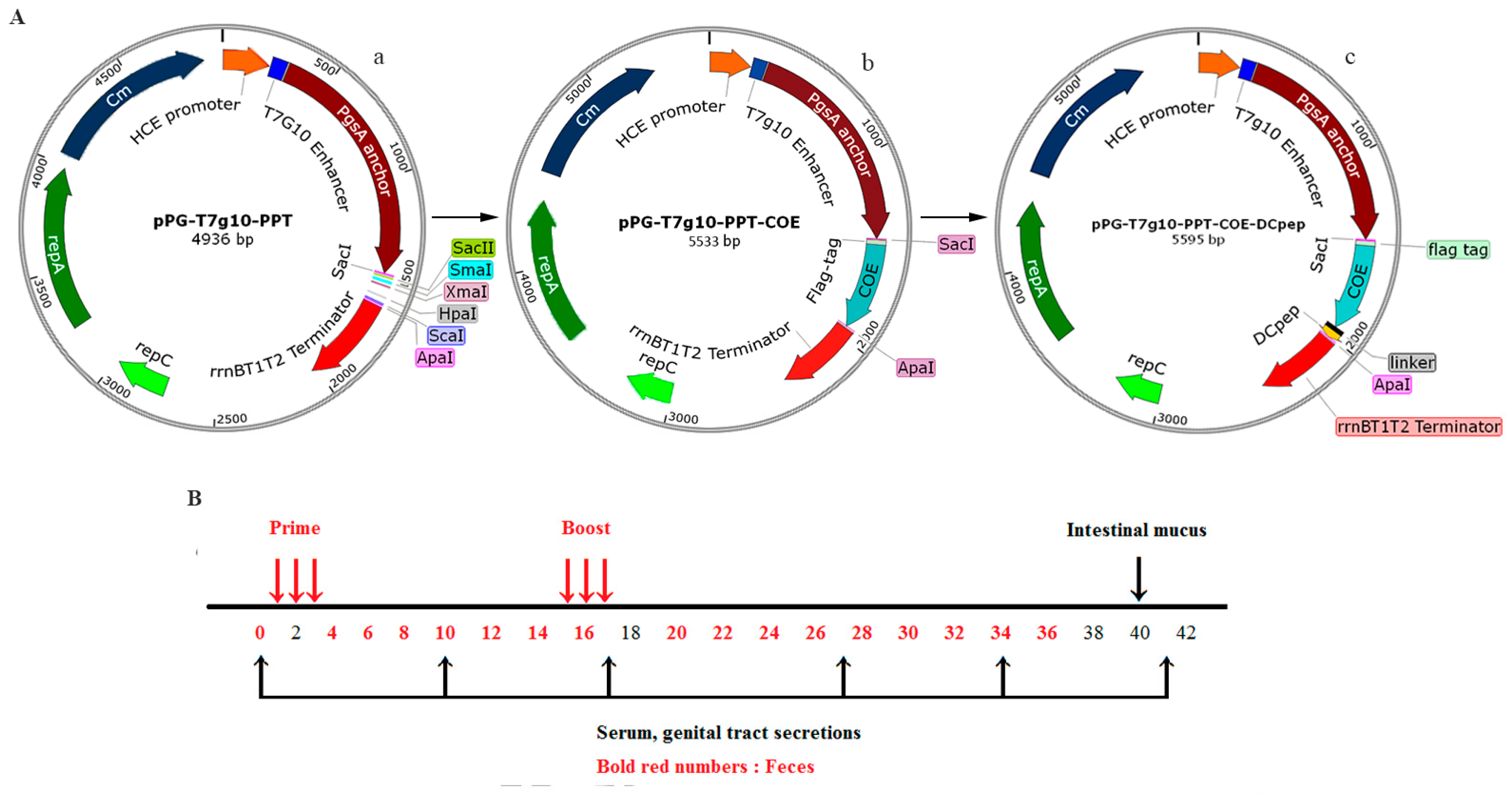 Viruses 09 00312 g001