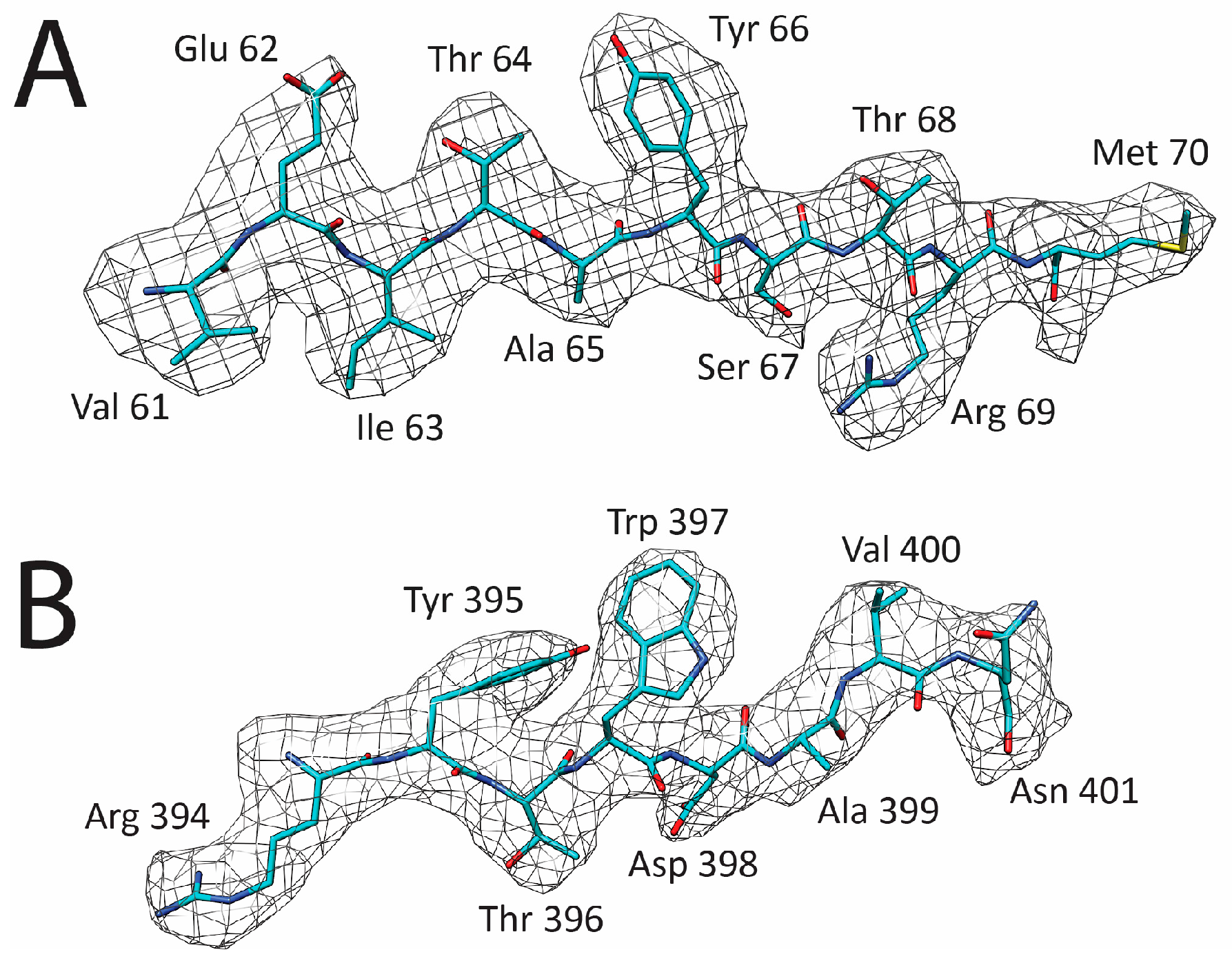 Viruses 09 00321 g002
