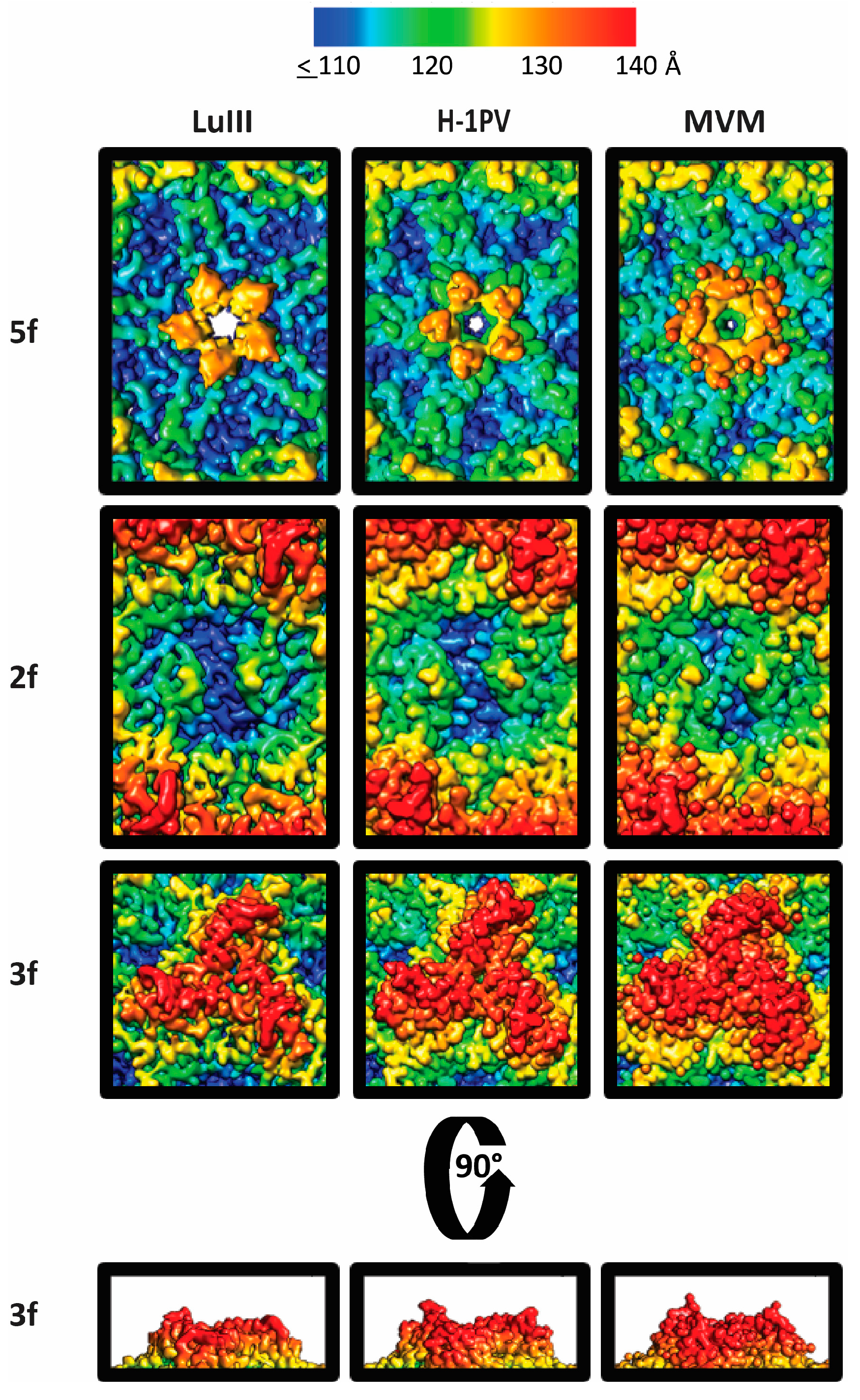 Viruses 09 00321 g005