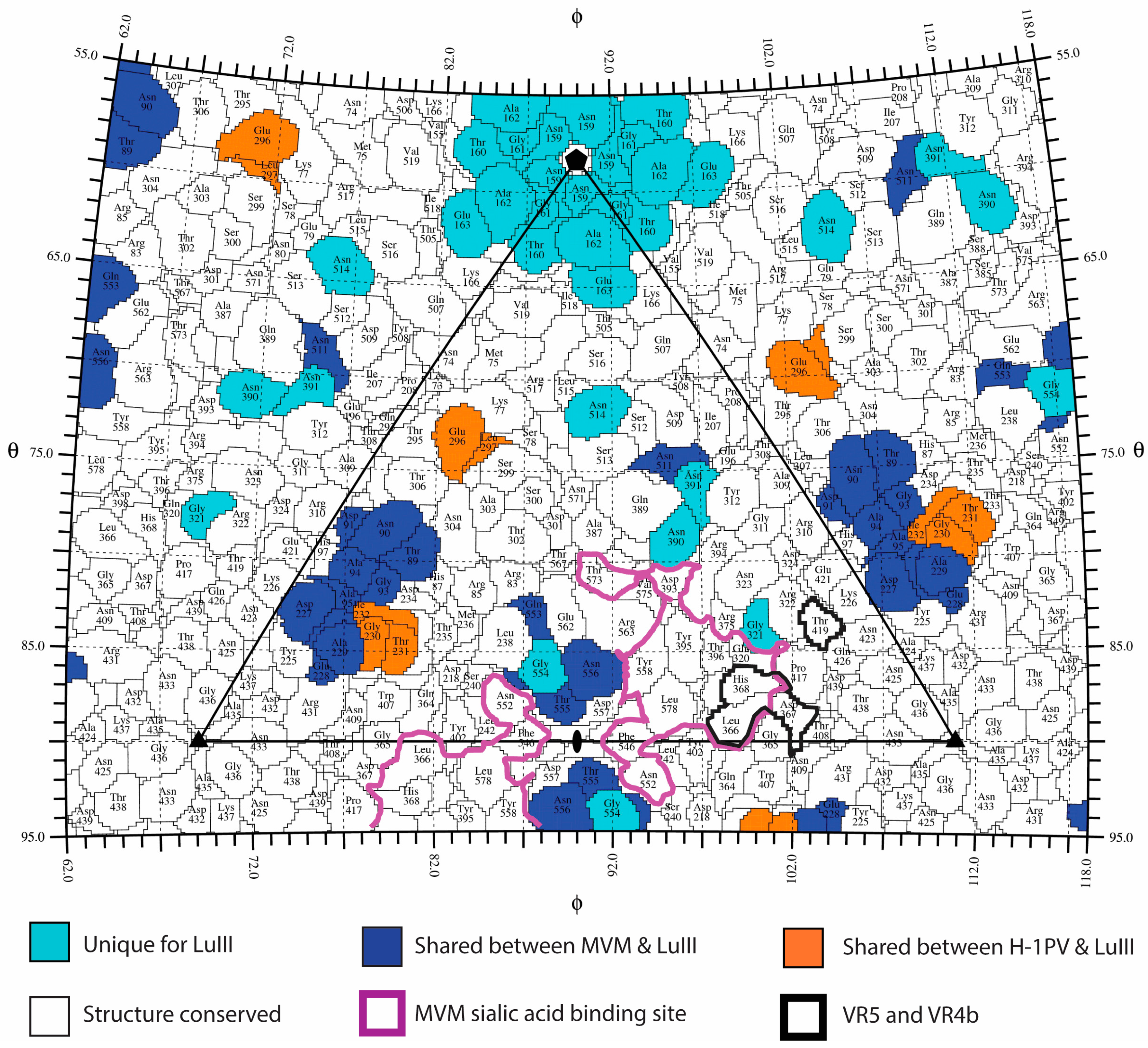 Viruses 09 00321 g007