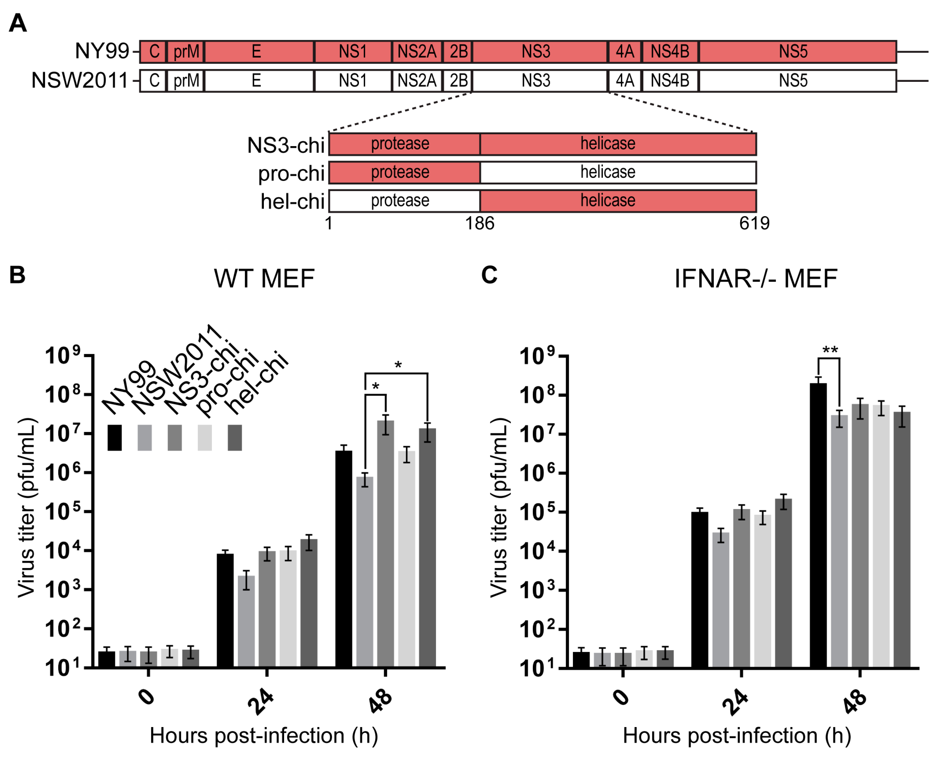 Viruses 09 00326 g001
