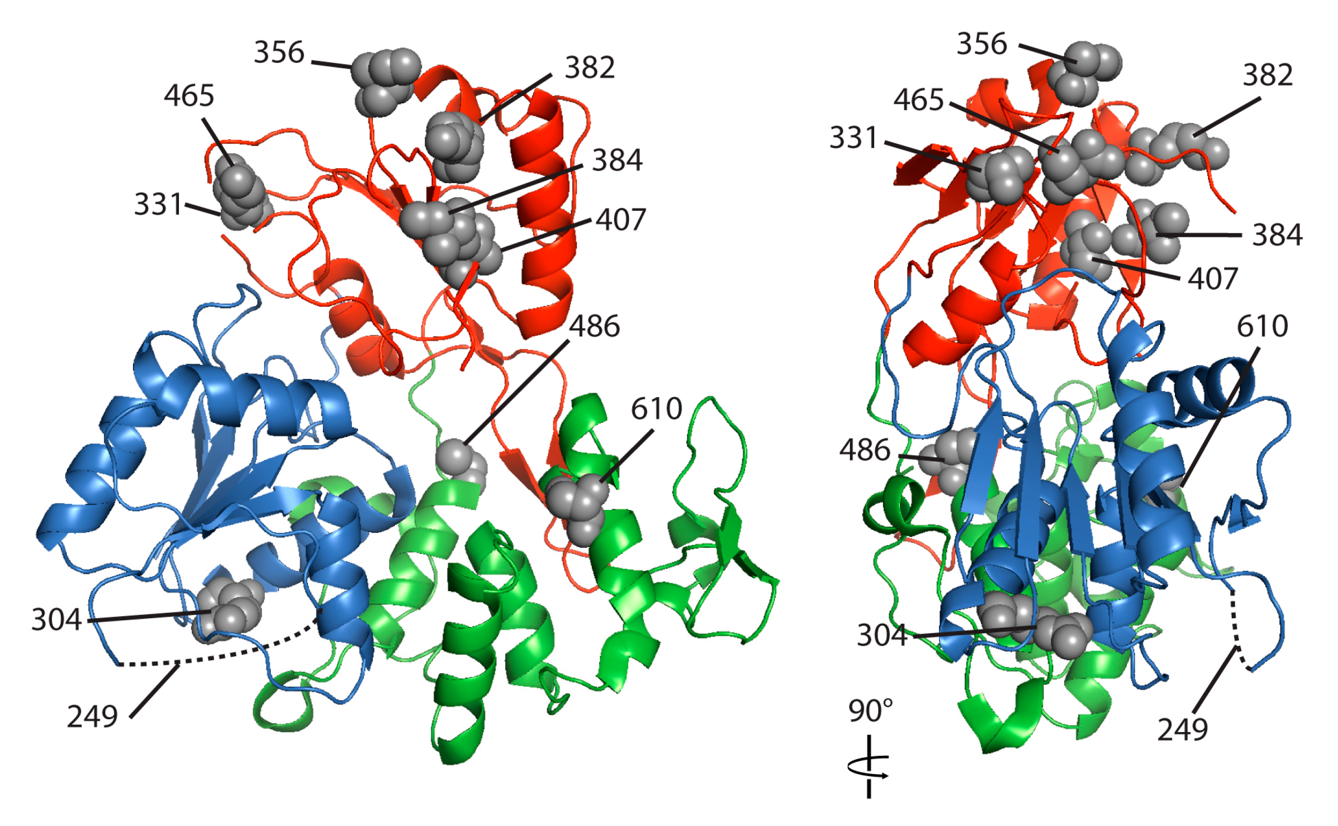 Viruses 09 00326 g004