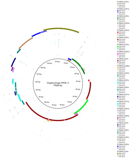 Viruses 09 00328 g005
