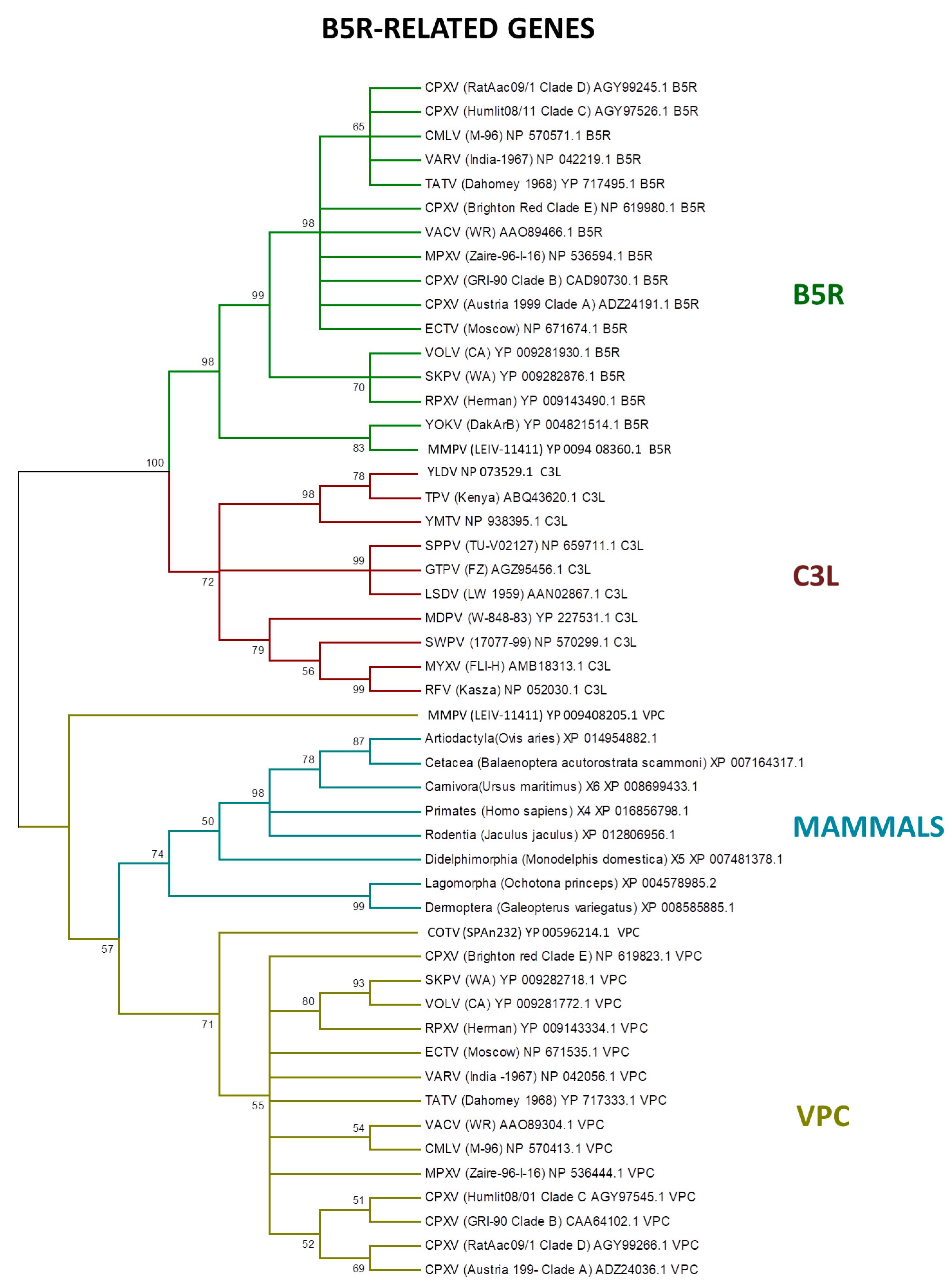 Viruses 09 00331 g005