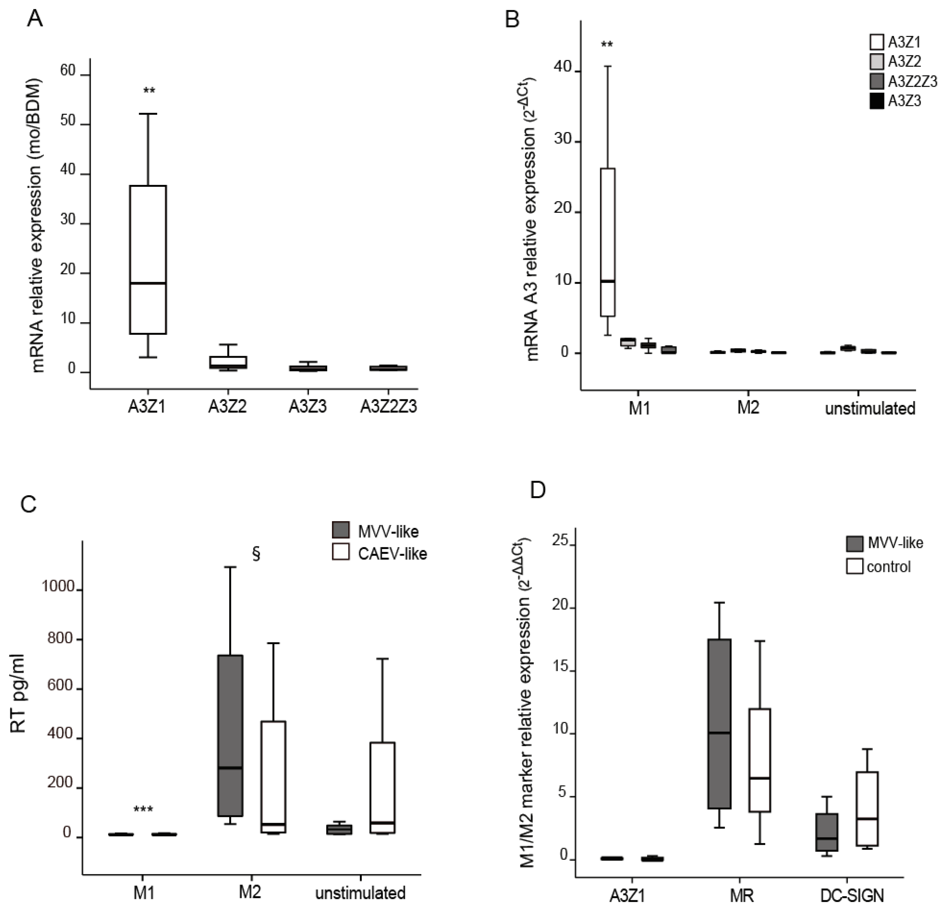 Viruses 09 00345 g001