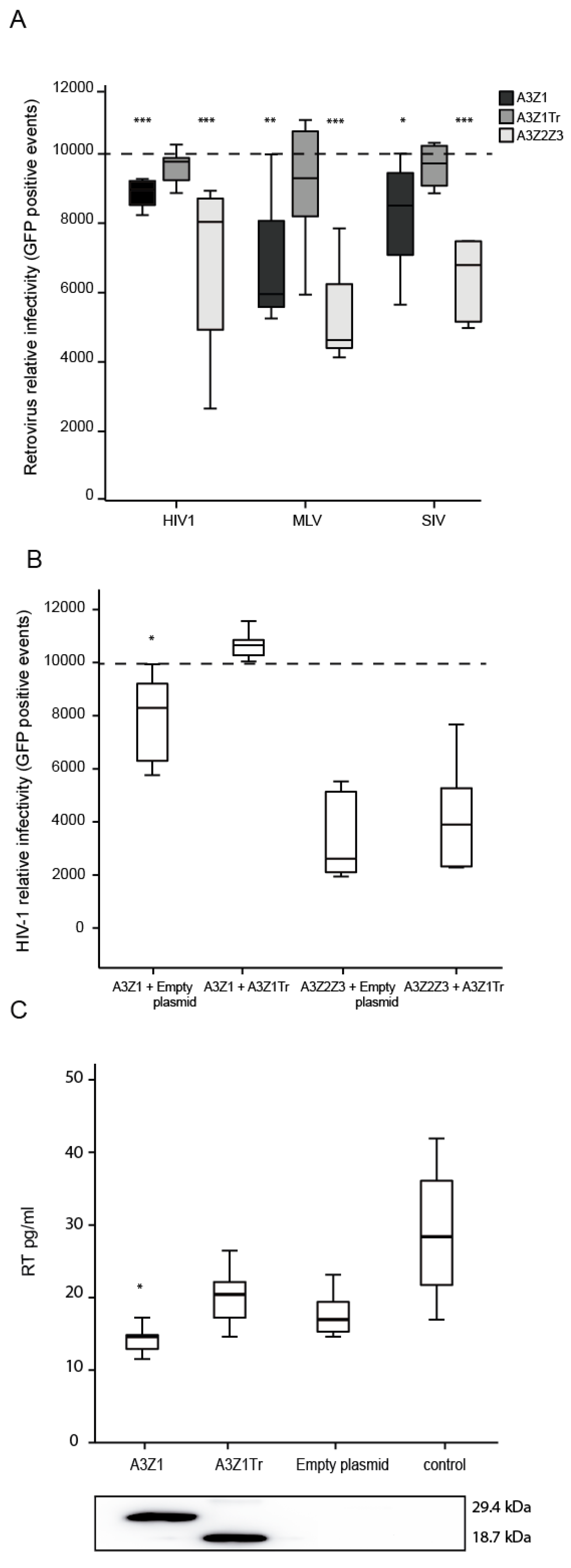Viruses 09 00345 g006