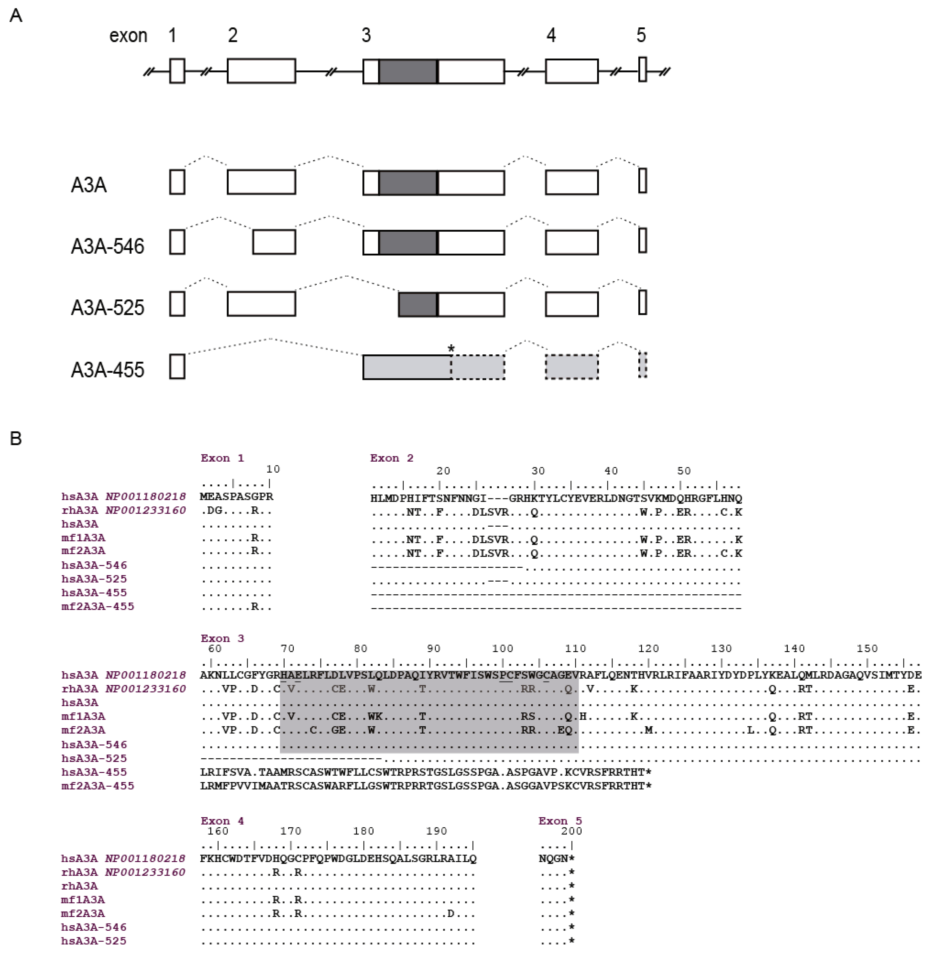 Viruses 09 00345 g008