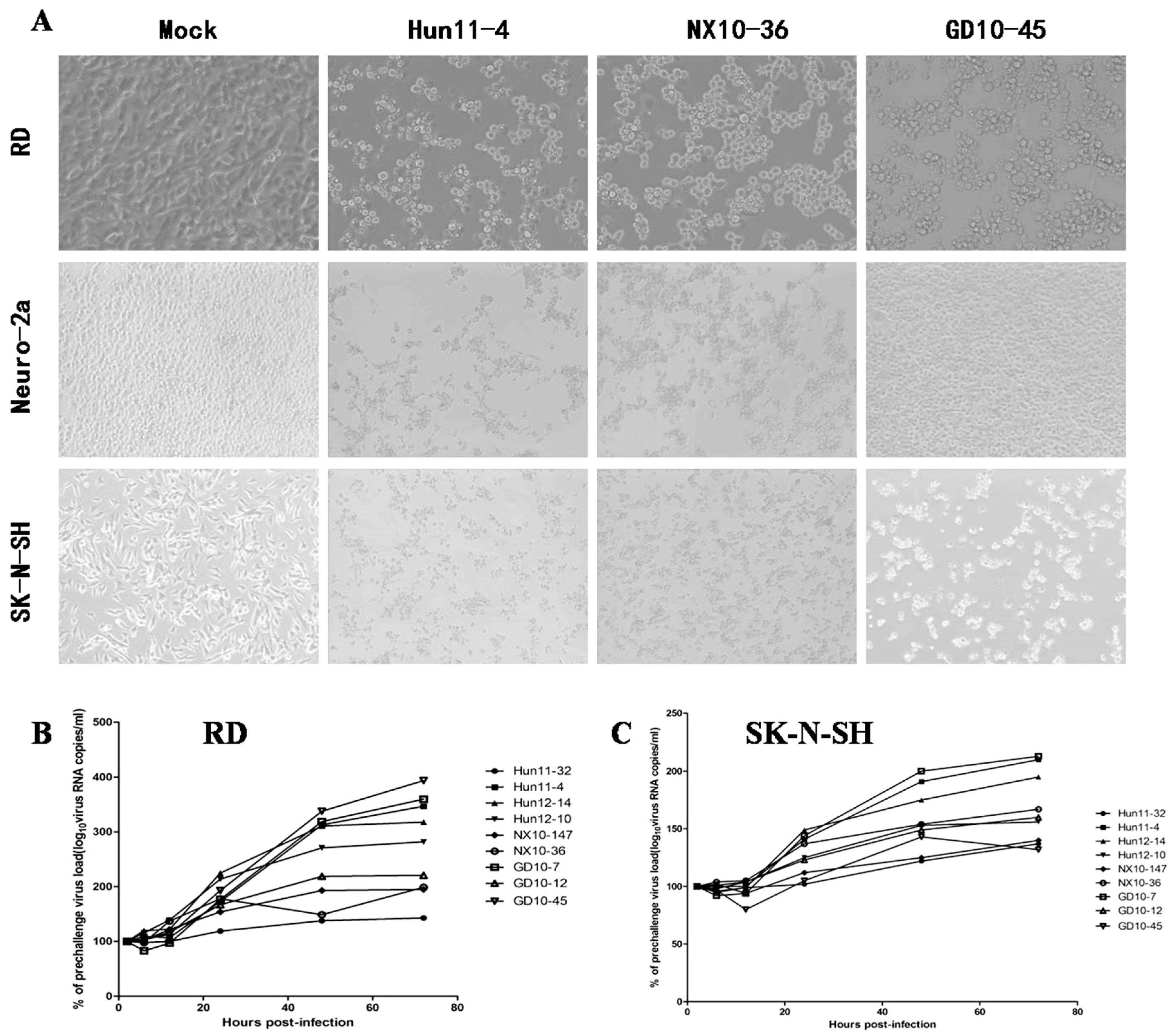 Viruses 09 00351 g001