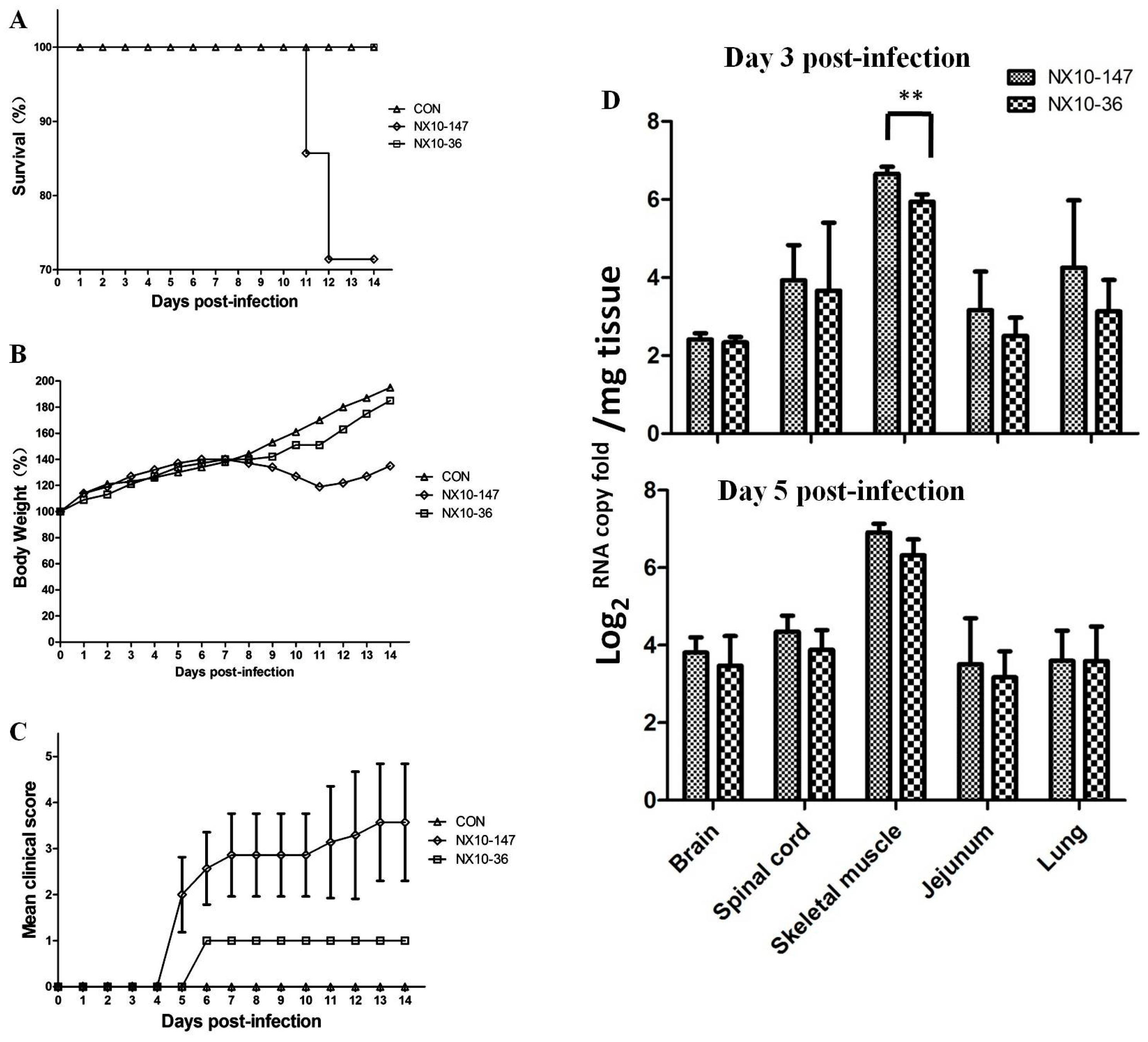 Viruses 09 00351 g006