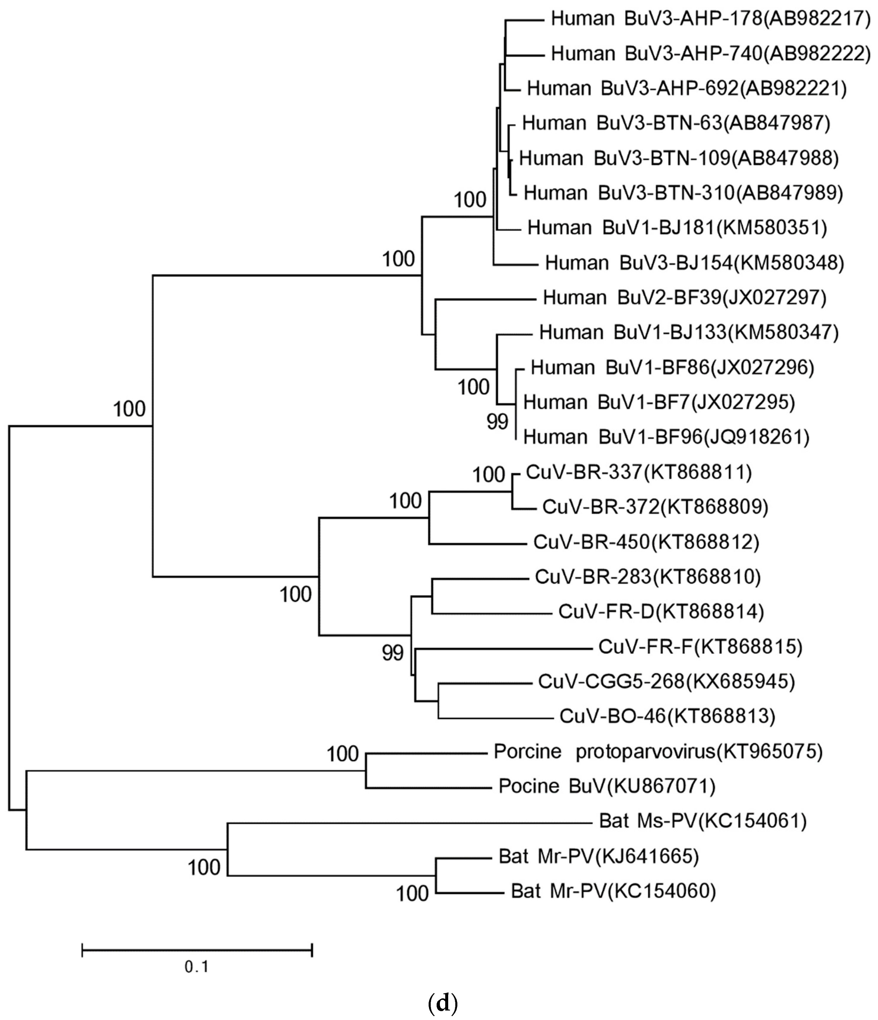 Viruses 09 00354 g001d Viruses 09 00354 g001d