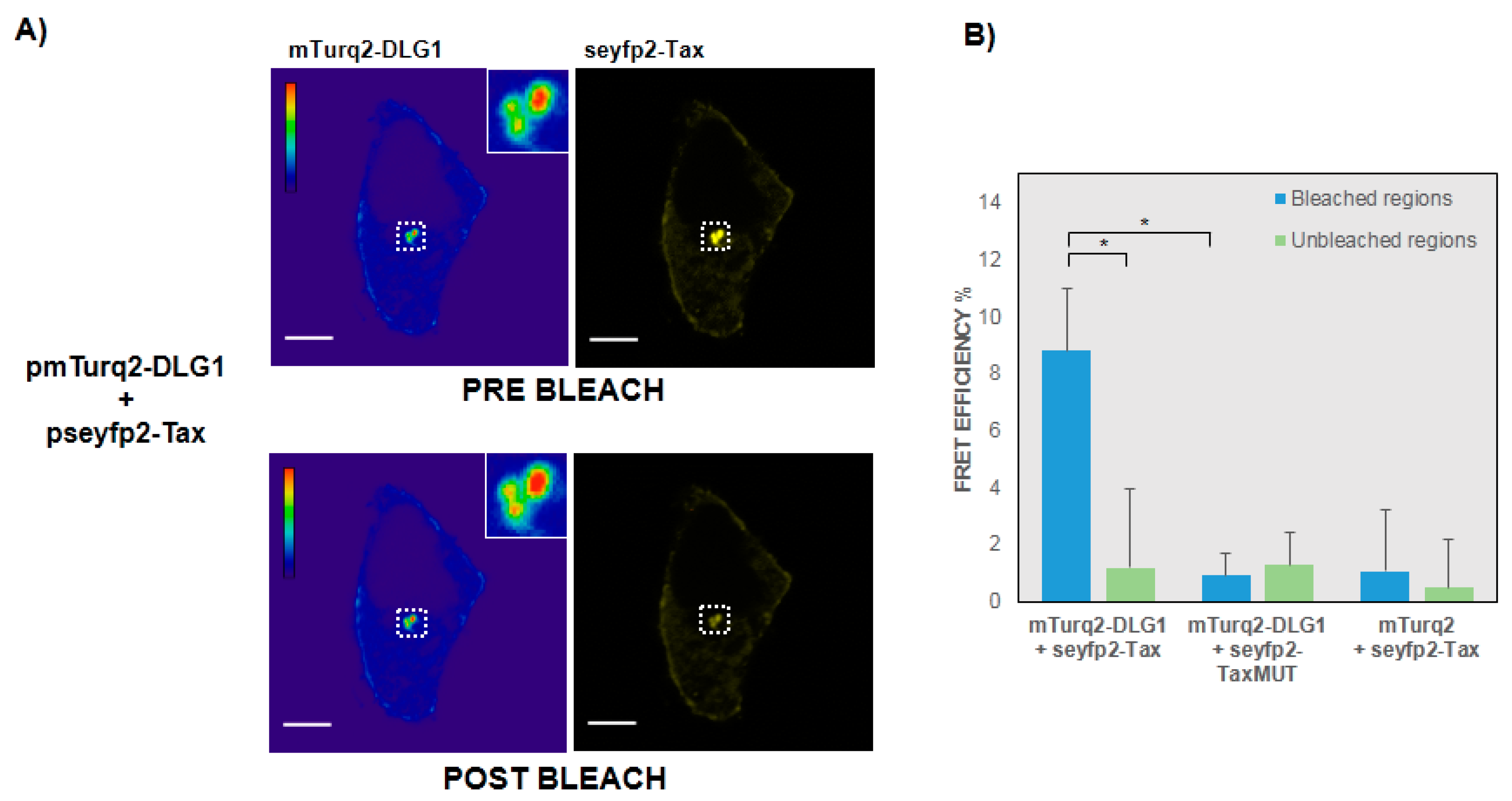 Viruses 09 00355 g003