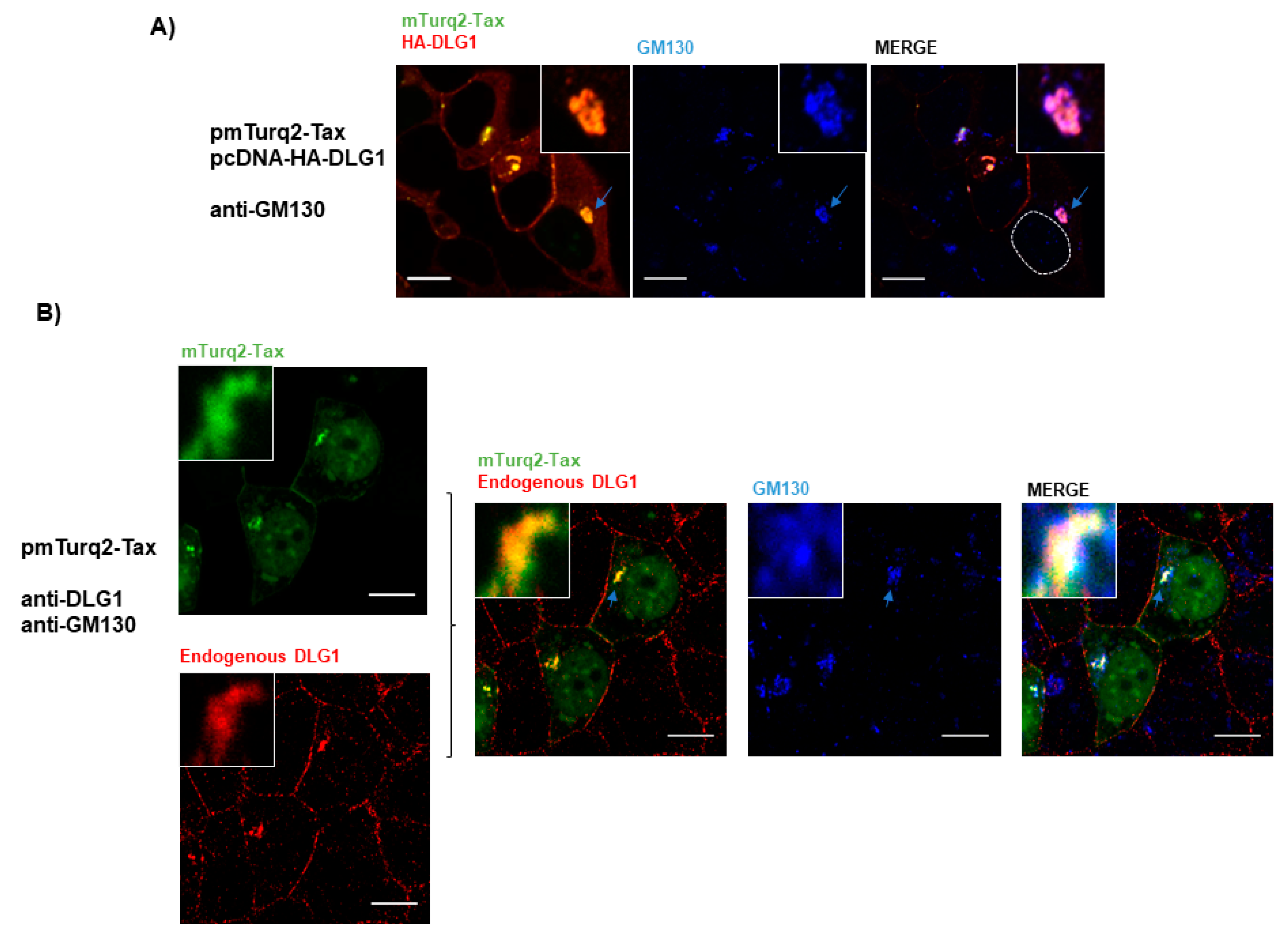 Viruses 09 00355 g005