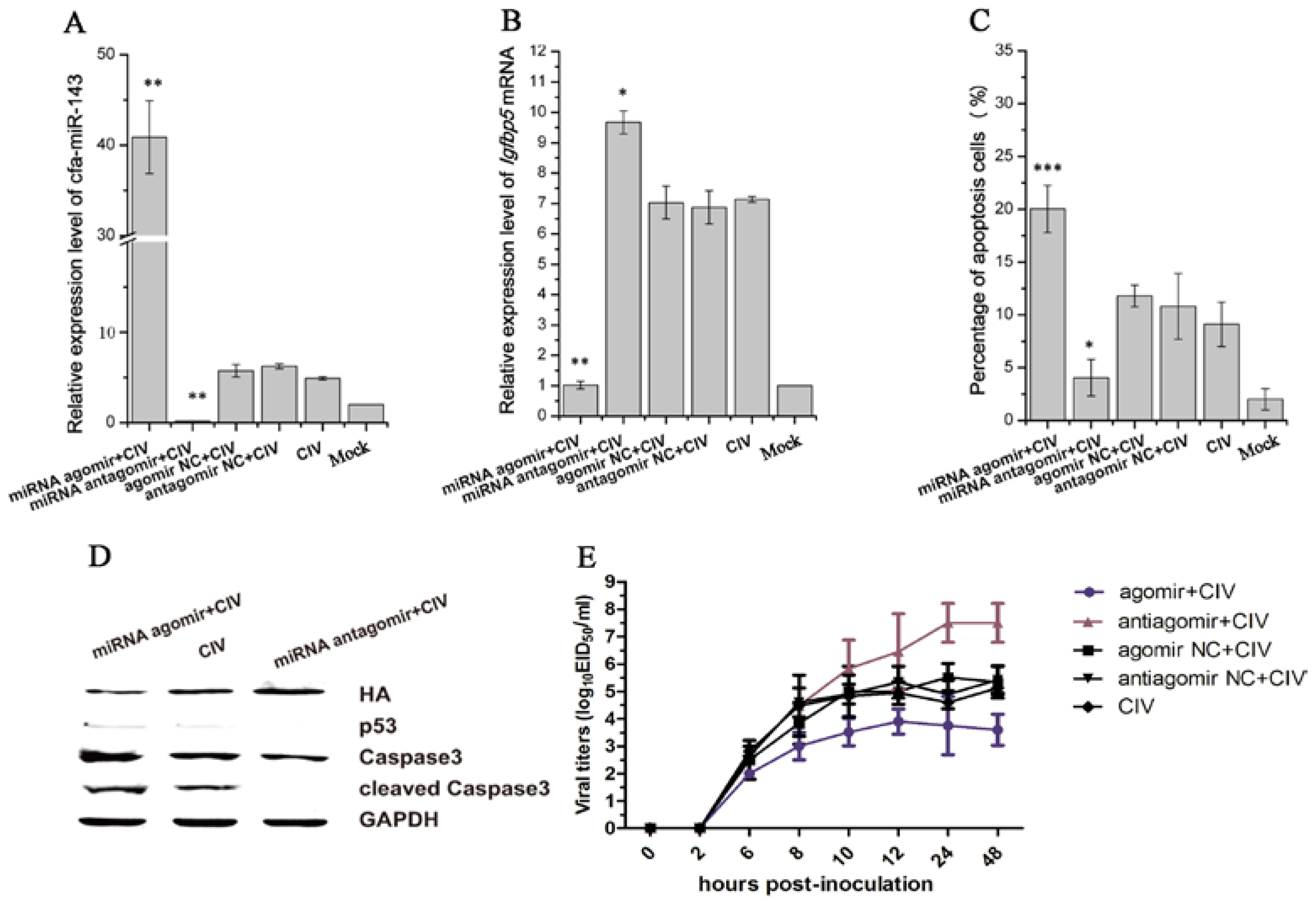 Viruses 09 00360 g004