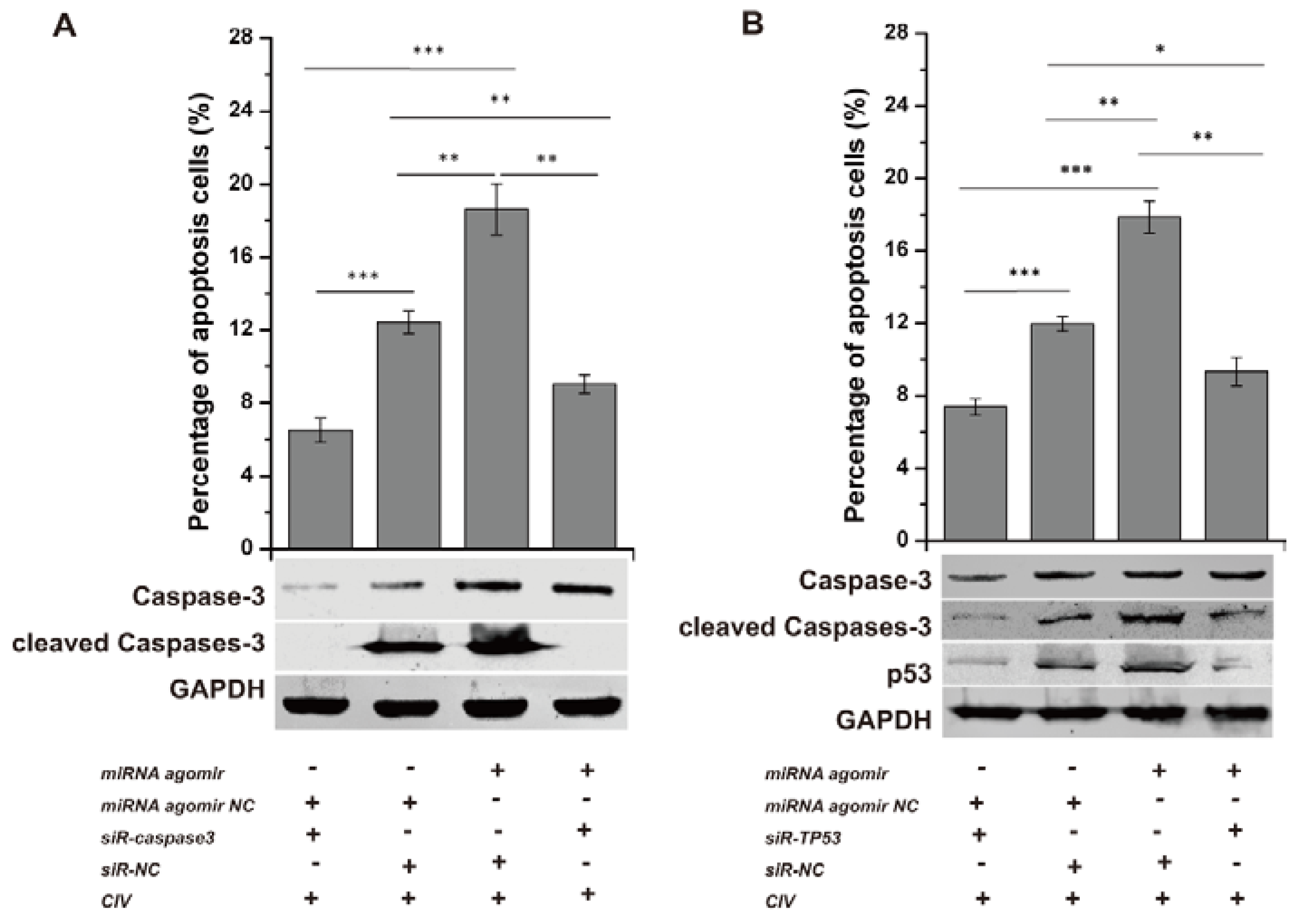 Viruses 09 00360 g005