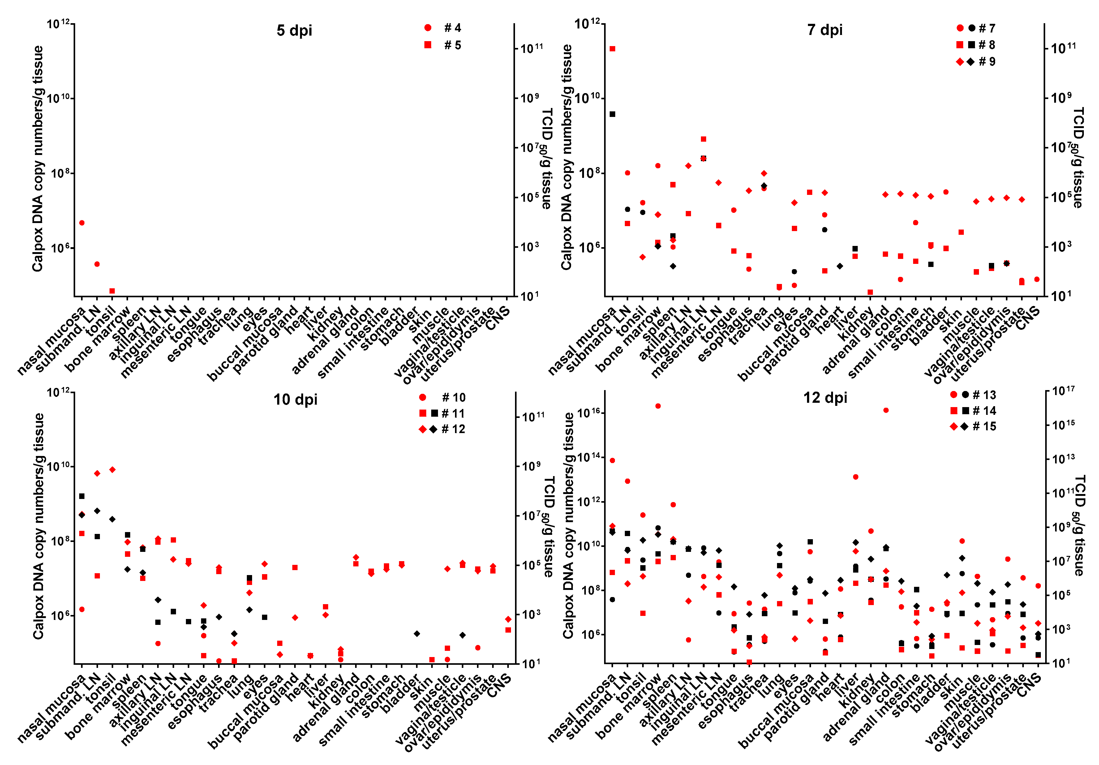 Viruses 09 00363 g003