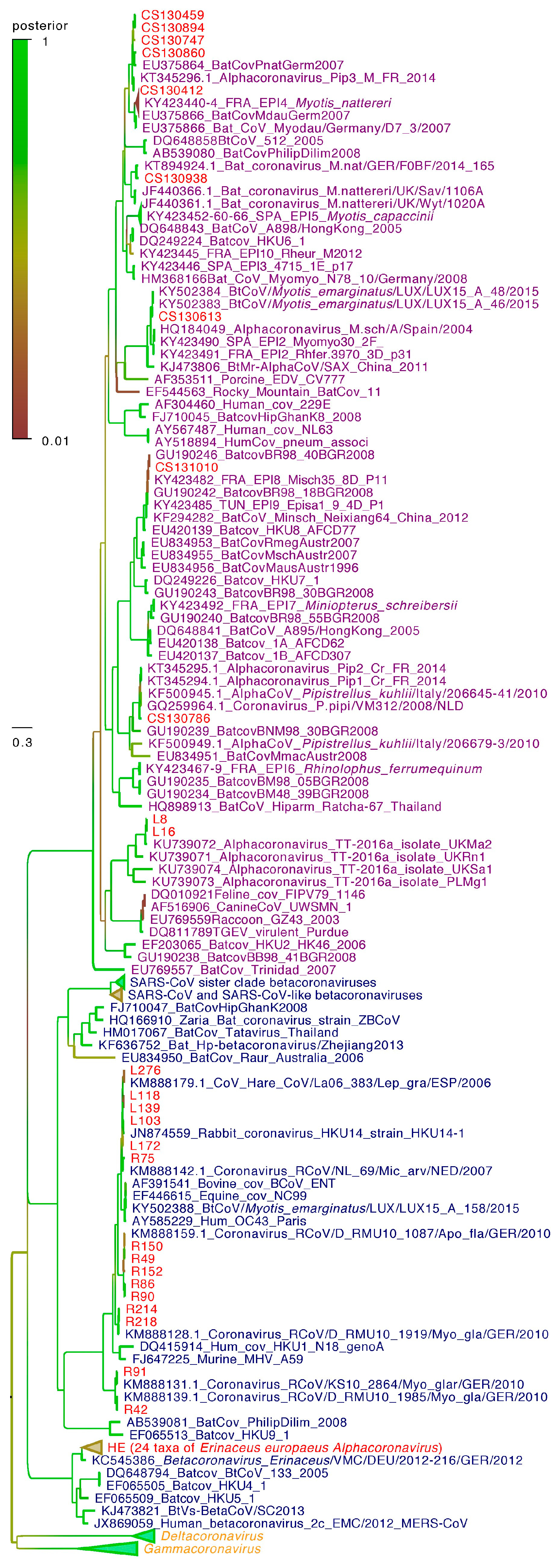 Viruses 09 00364 g002