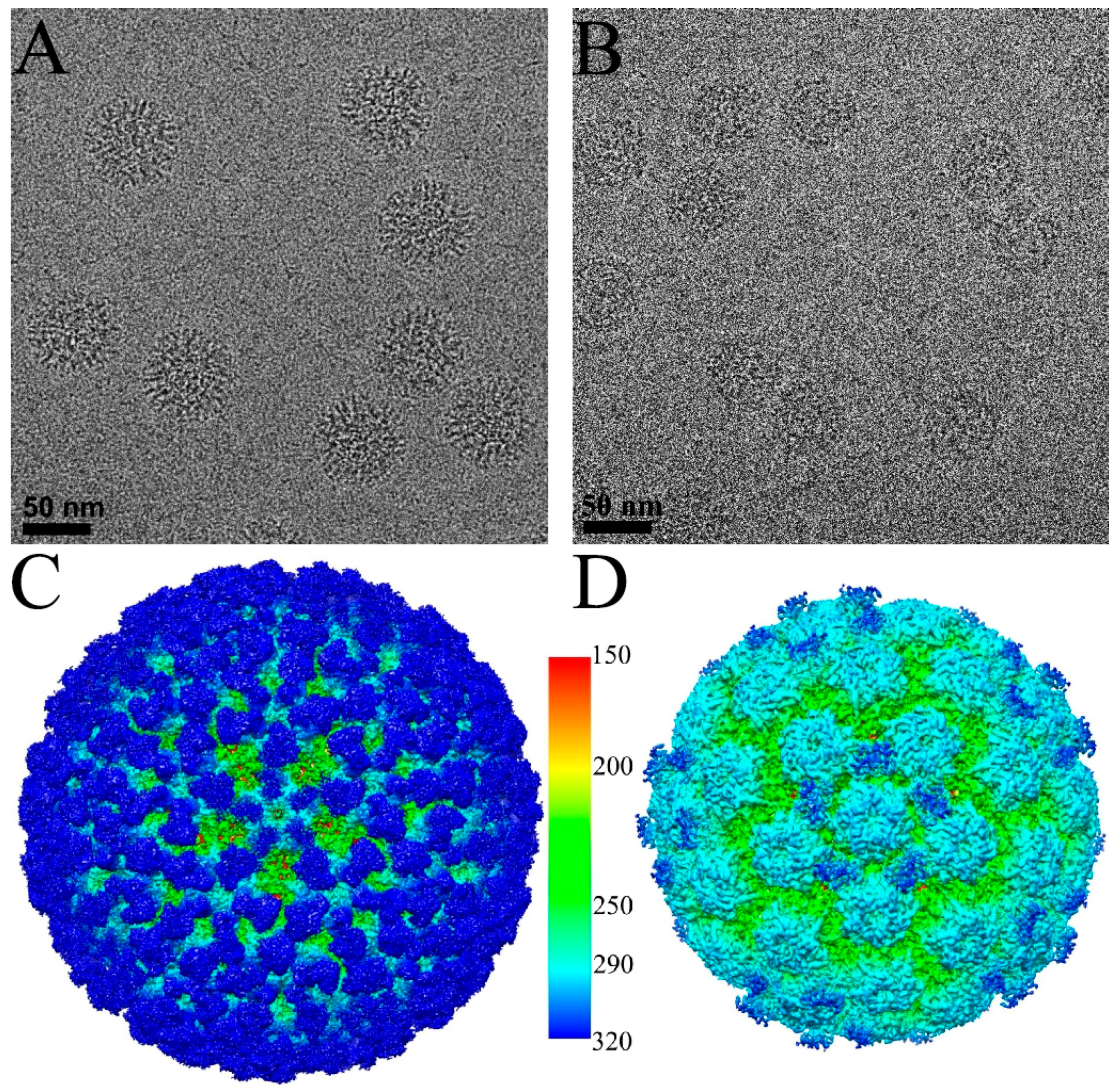 Viruses 09 00374 g001a