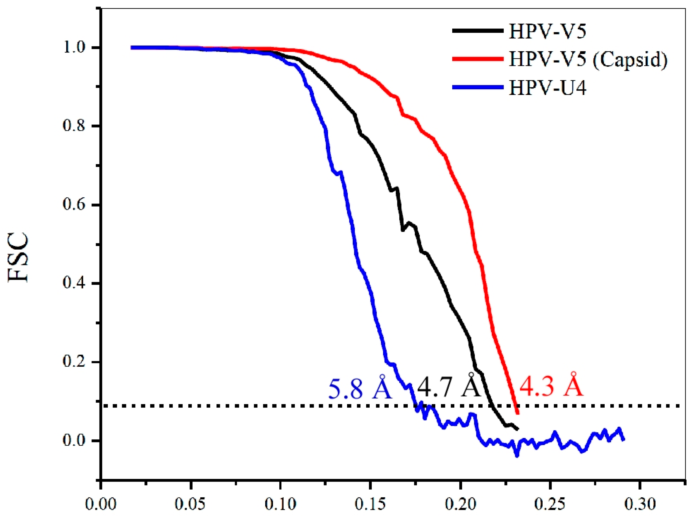 Viruses 09 00374 g002