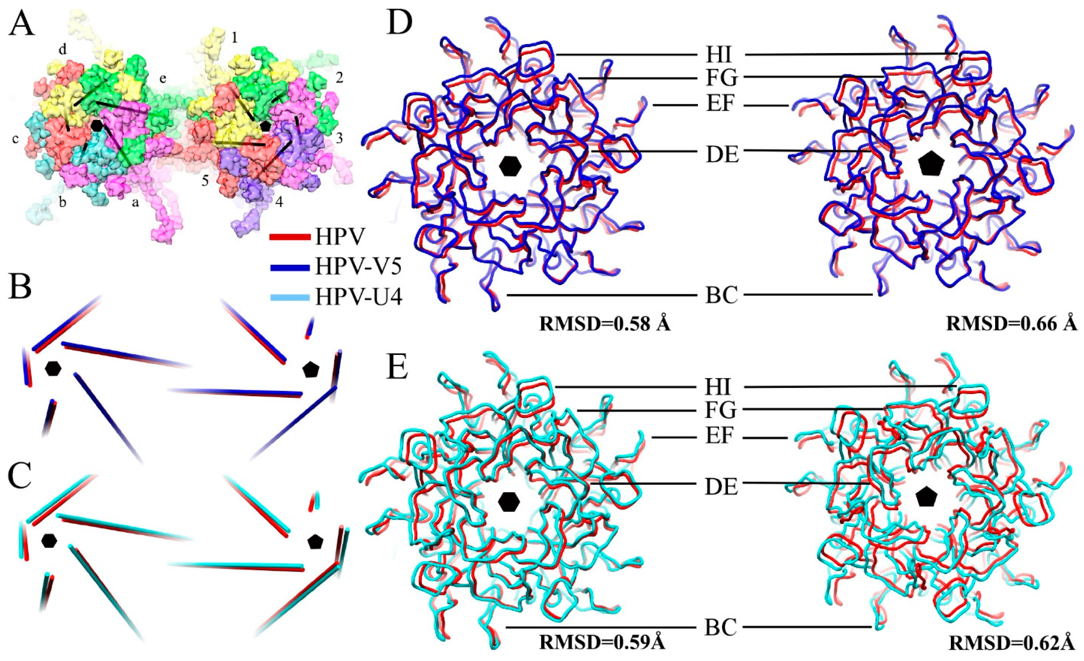 Viruses 09 00374 g005