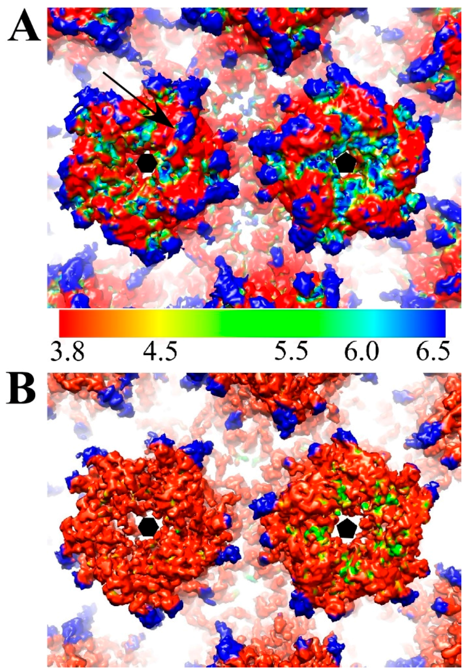 Viruses 09 00374 g006