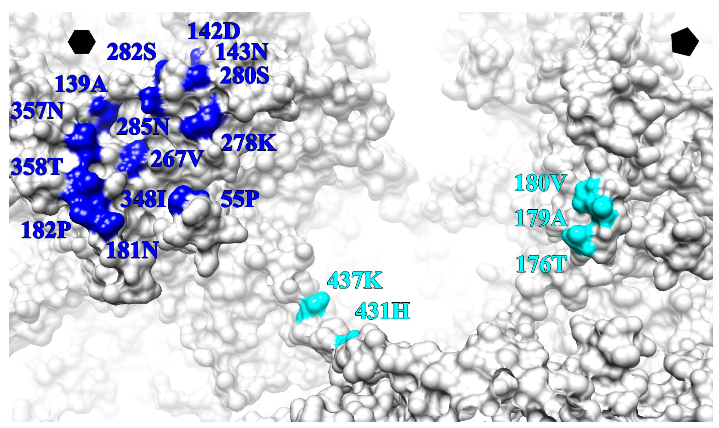 Viruses 09 00374 g008