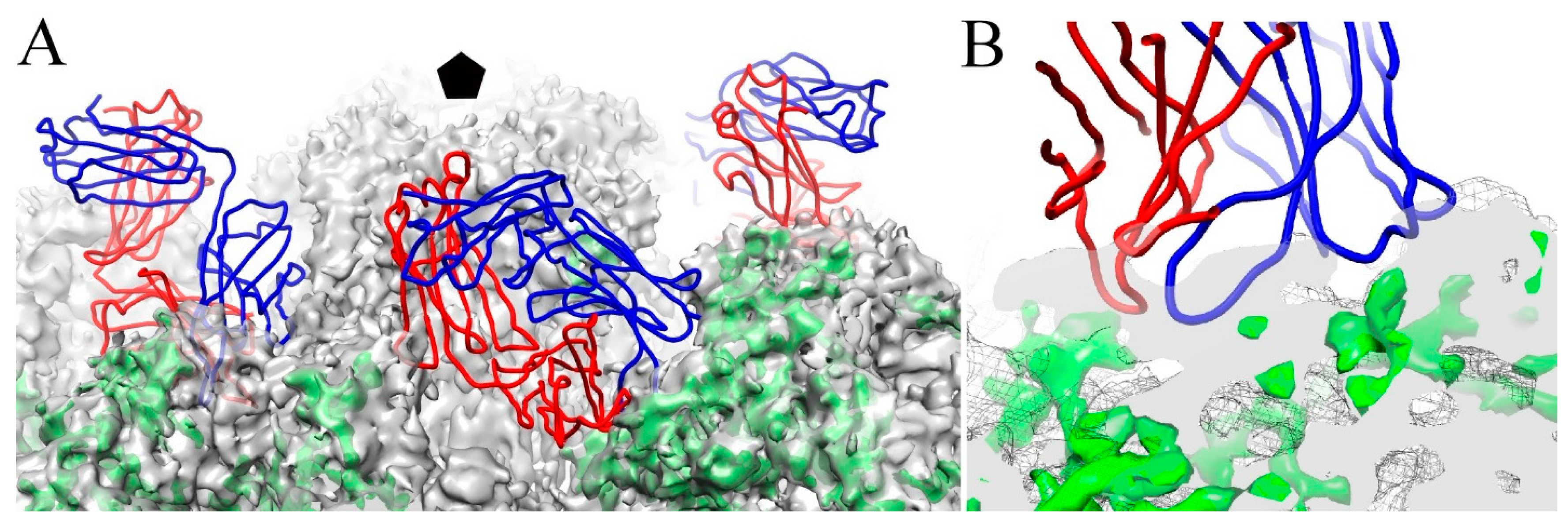 Viruses 09 00374 g010