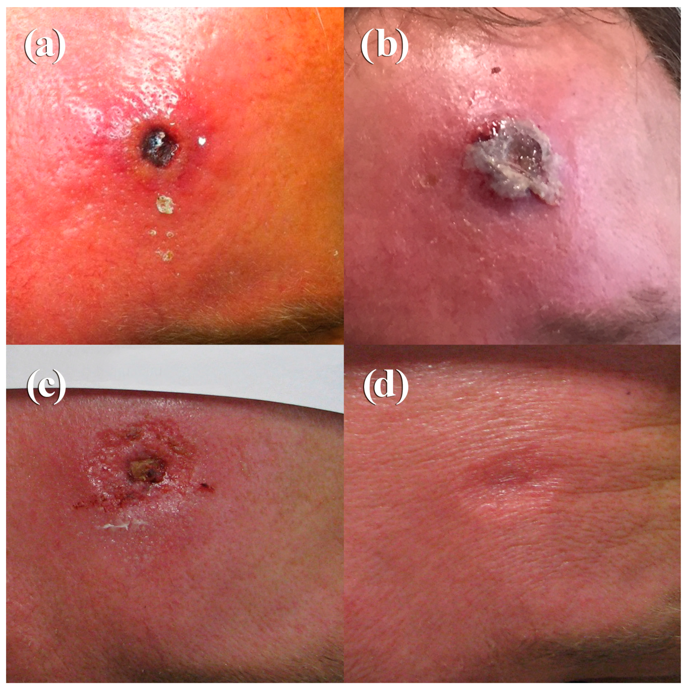 Viruses 09 00375 g002