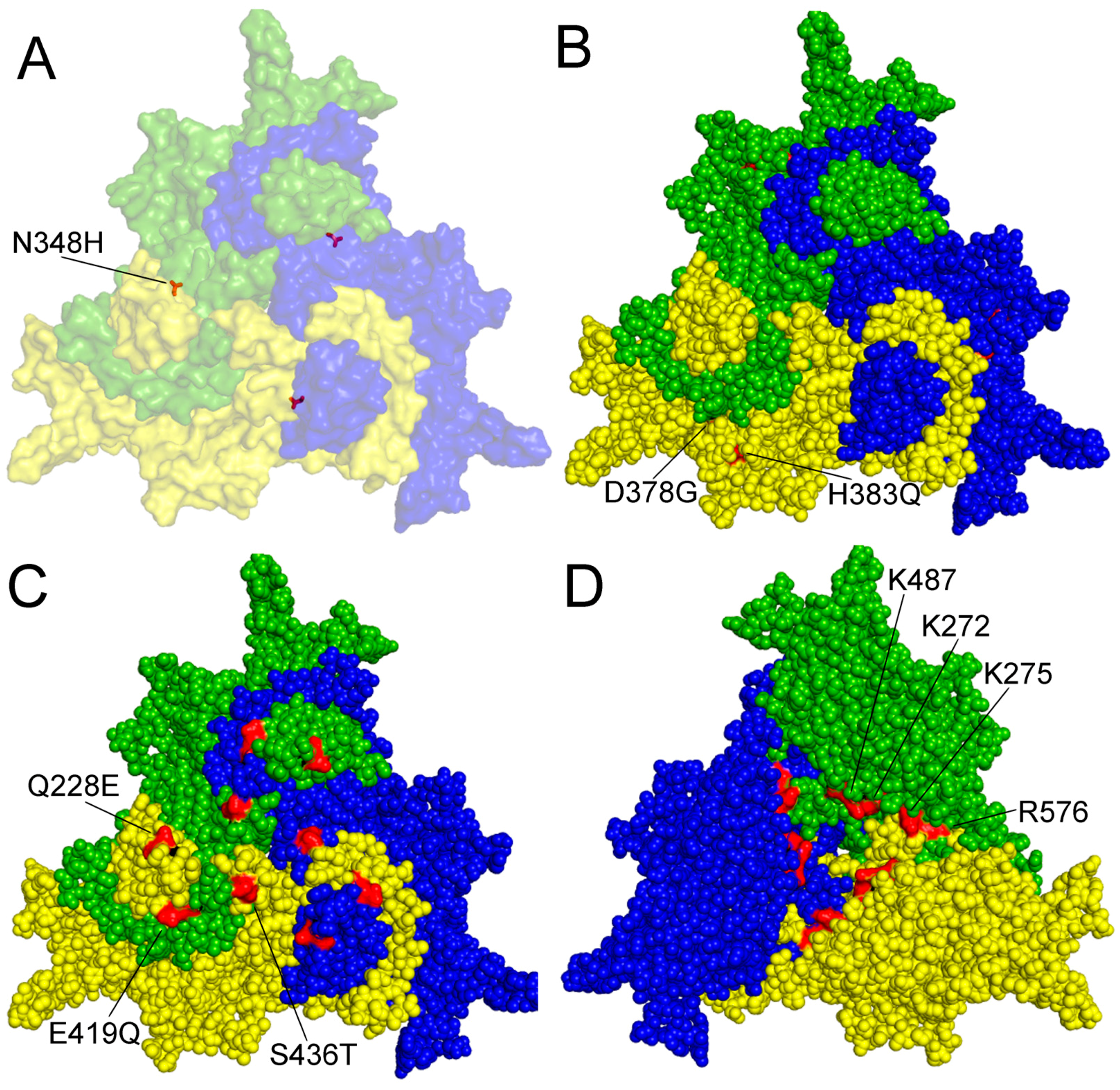 Viruses 09 00393 g002