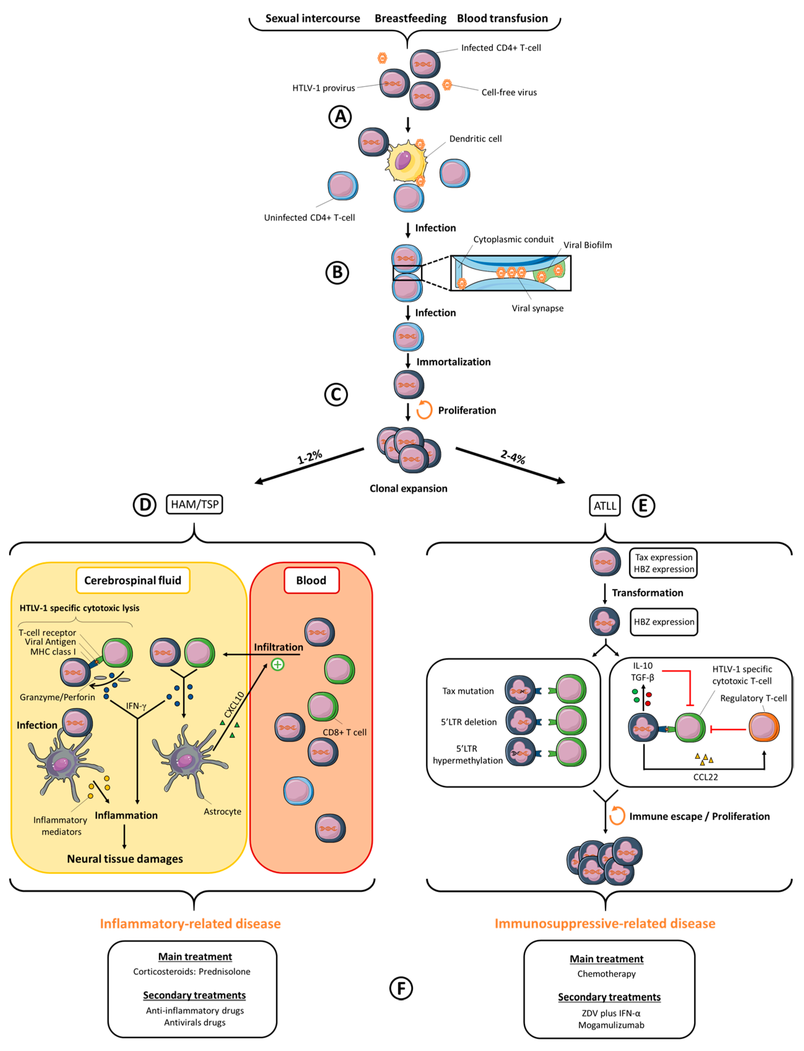 Viruses 10 00001 g001