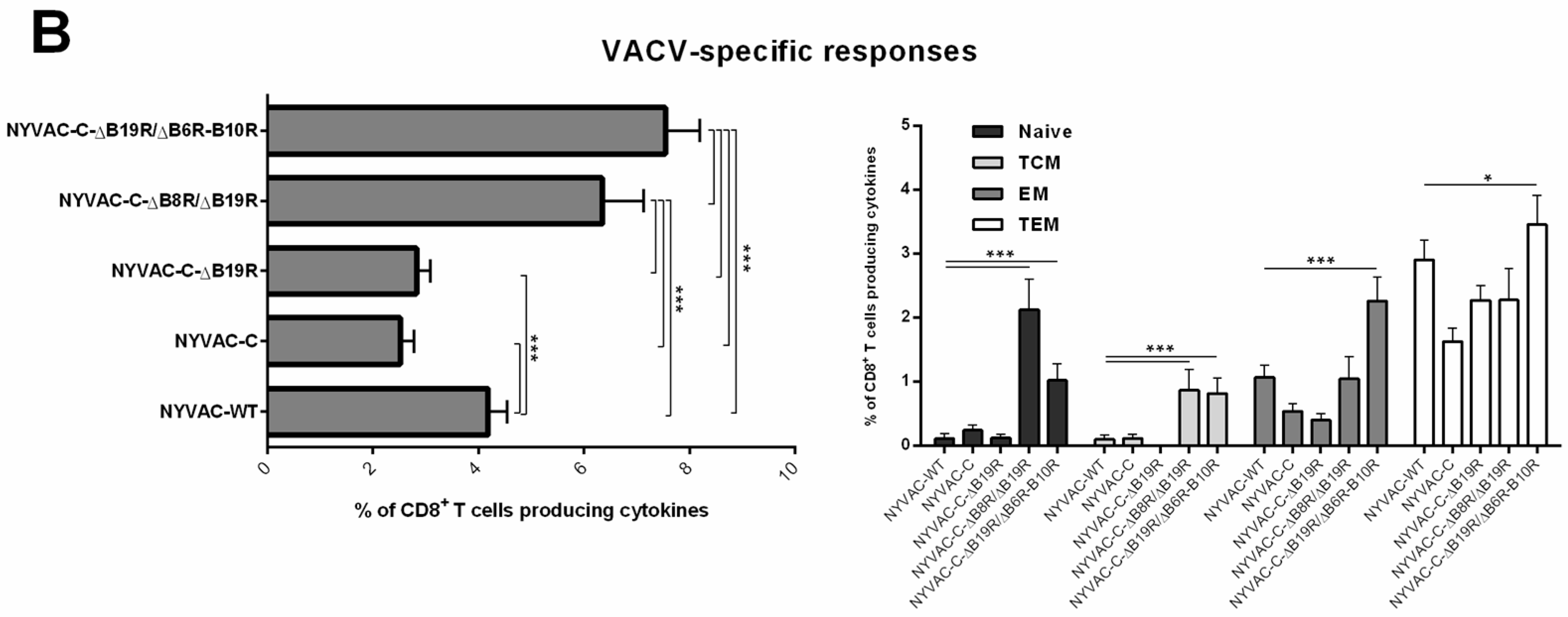 Viruses 10 00007 g004b Viruses 10 00007 g004b