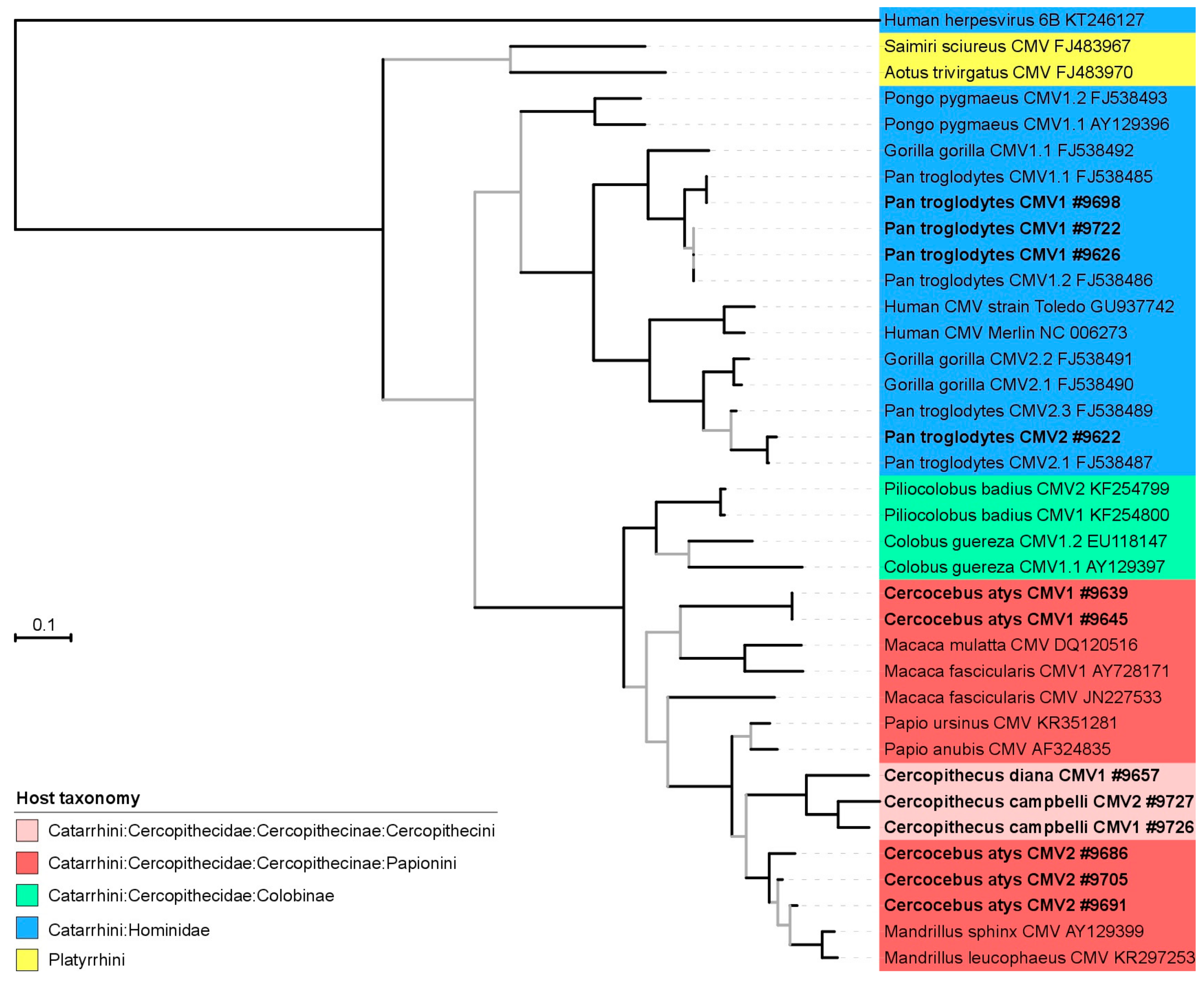 Viruses 10 00011 g003
