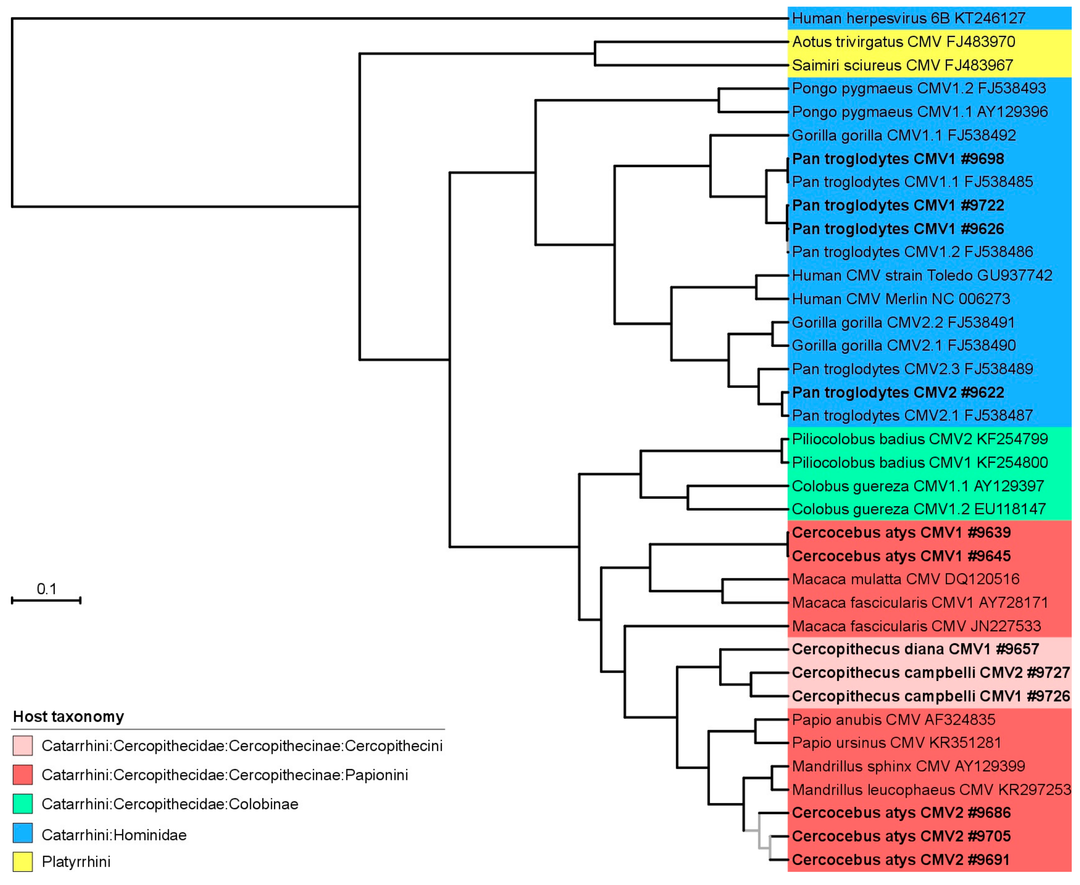 Viruses 10 00011 g004