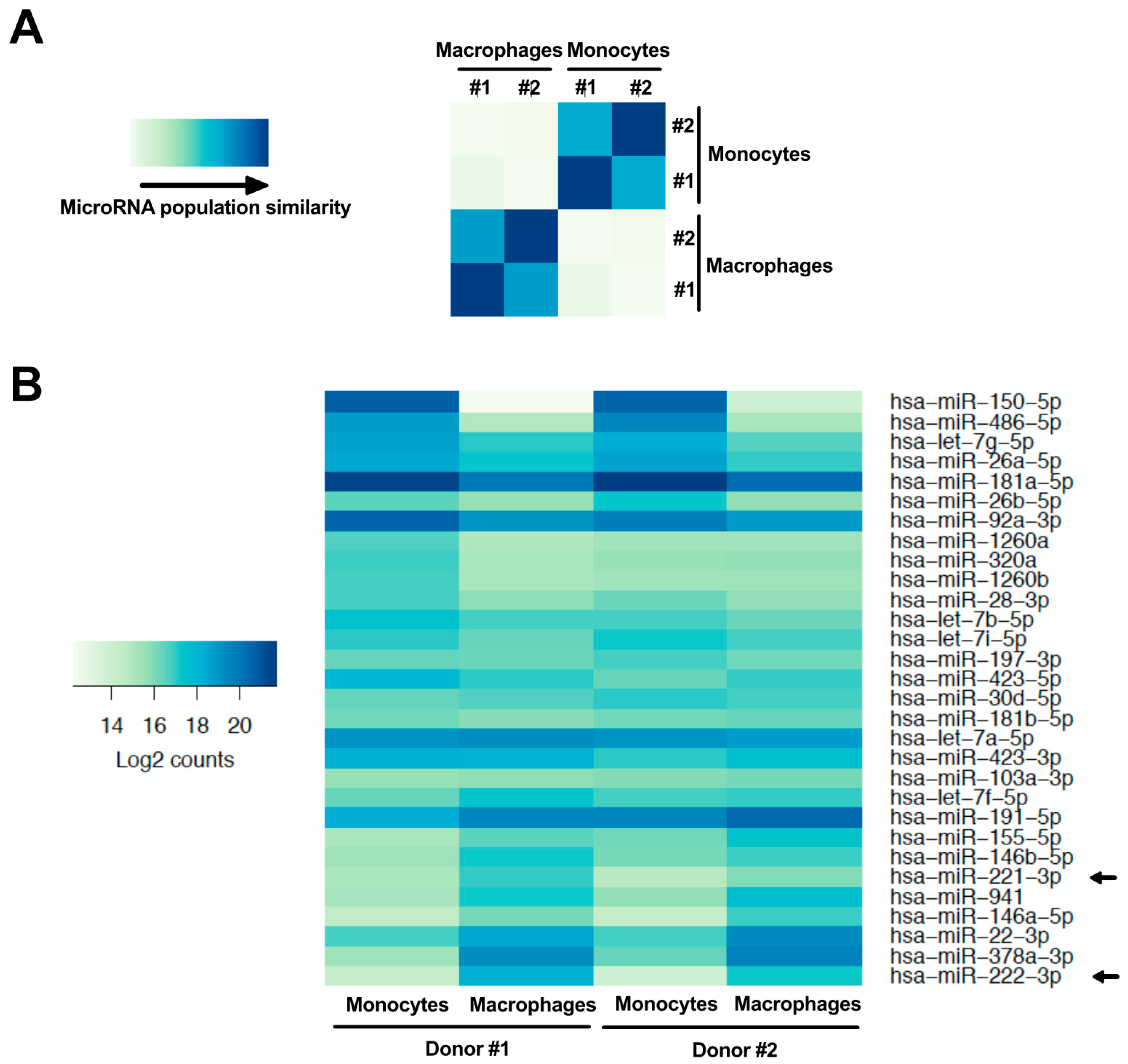 Viruses 10 00013 g002