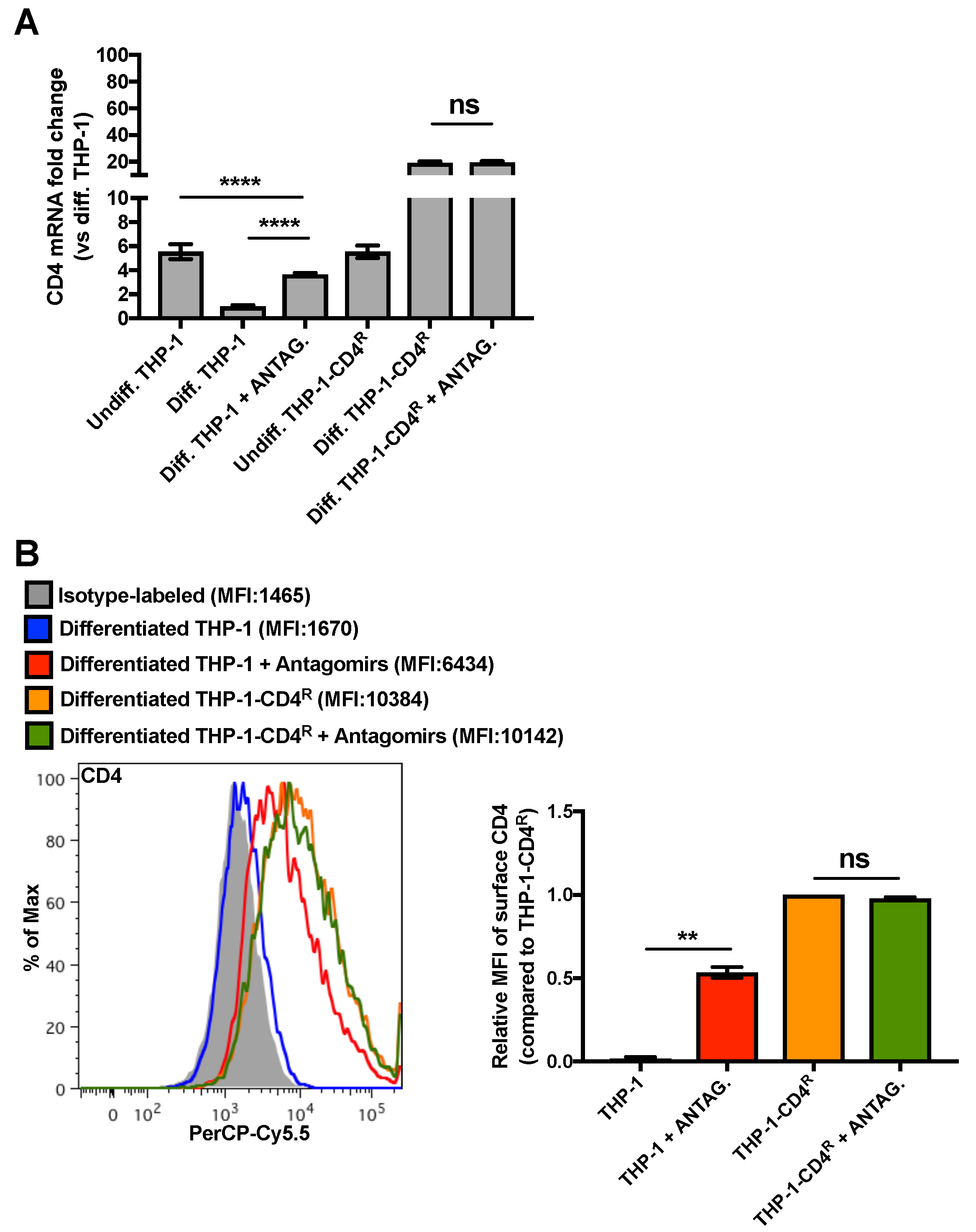 Viruses 10 00013 g005
