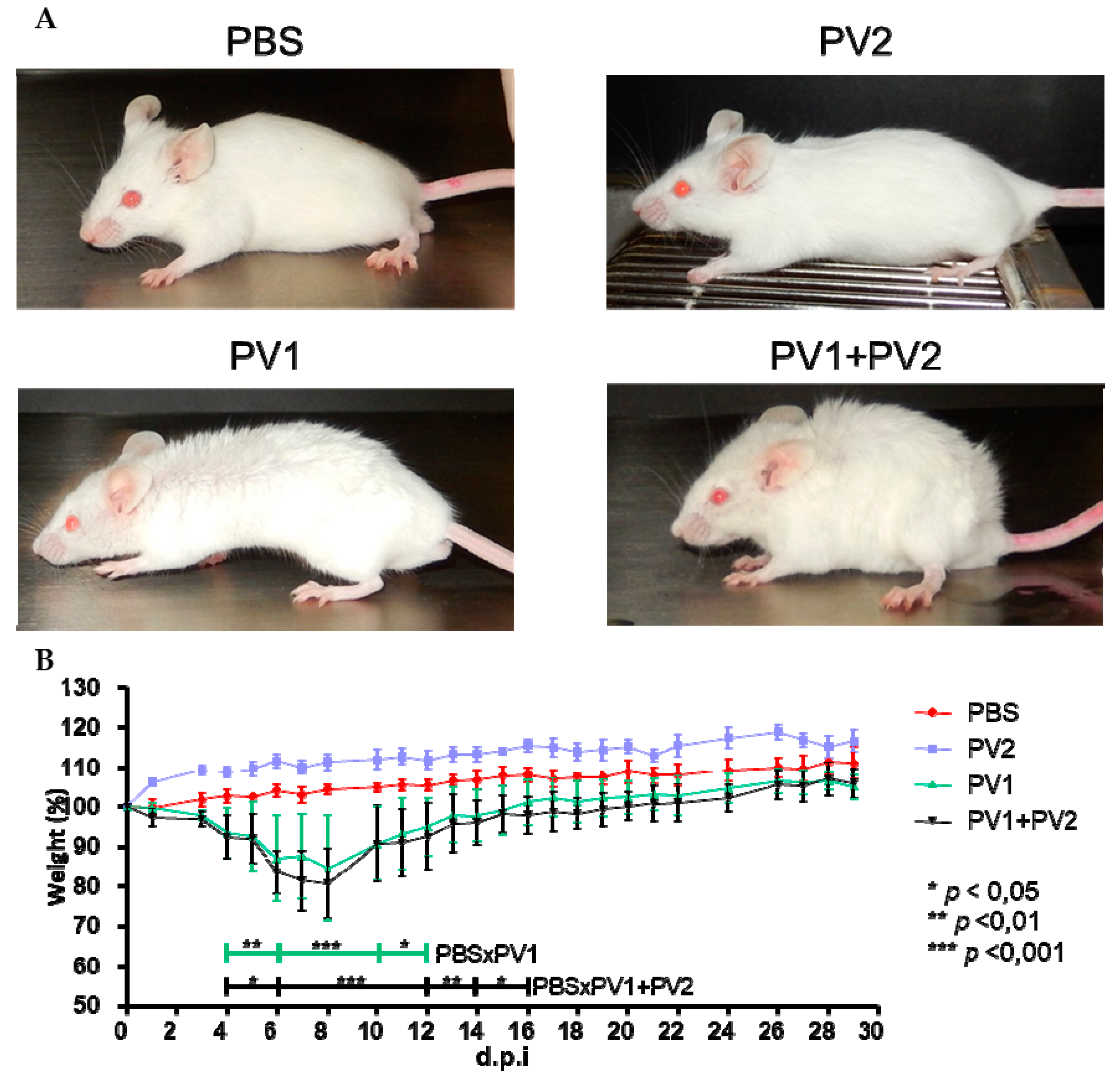 Viruses 10 00015 g003