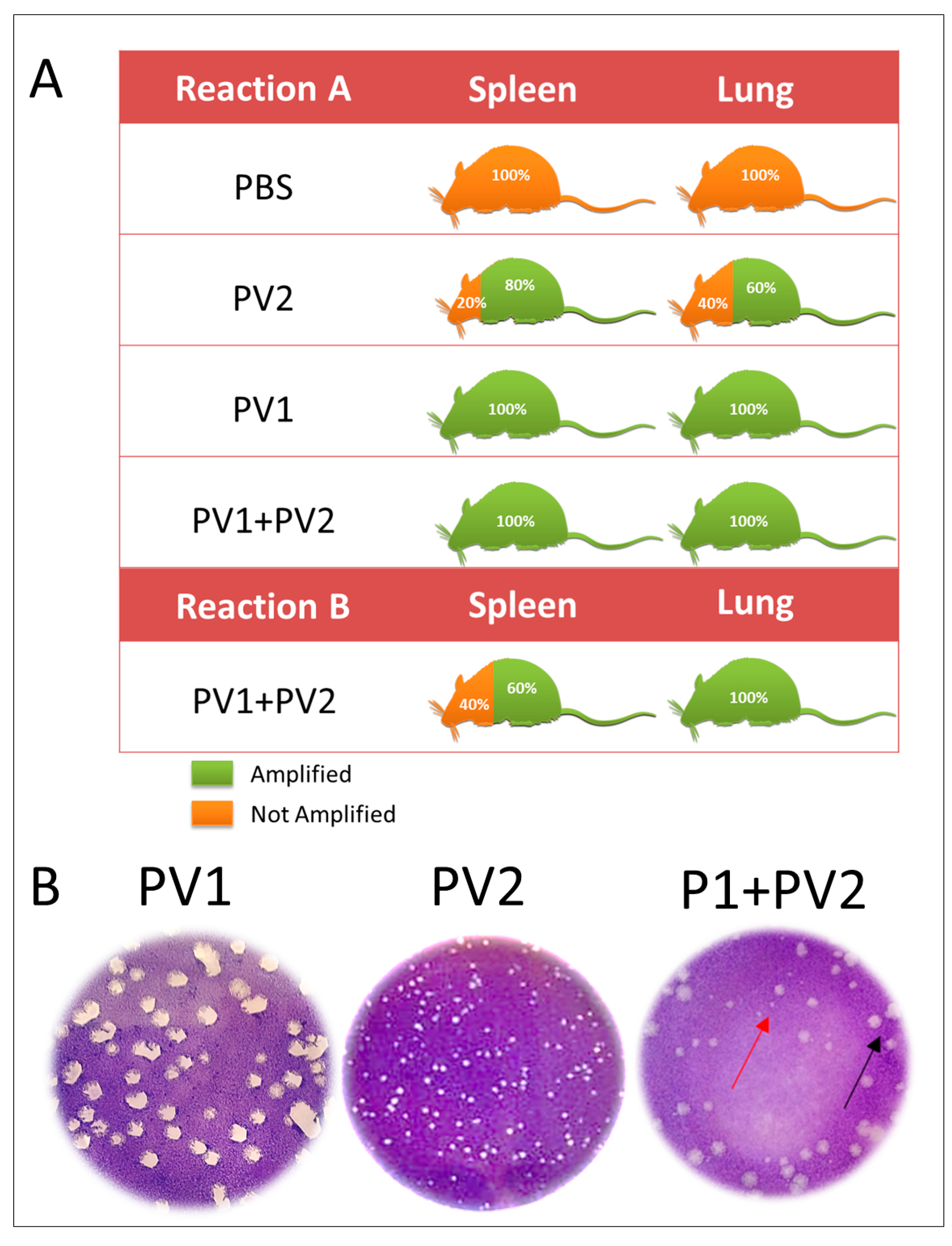 Viruses 10 00015 g004