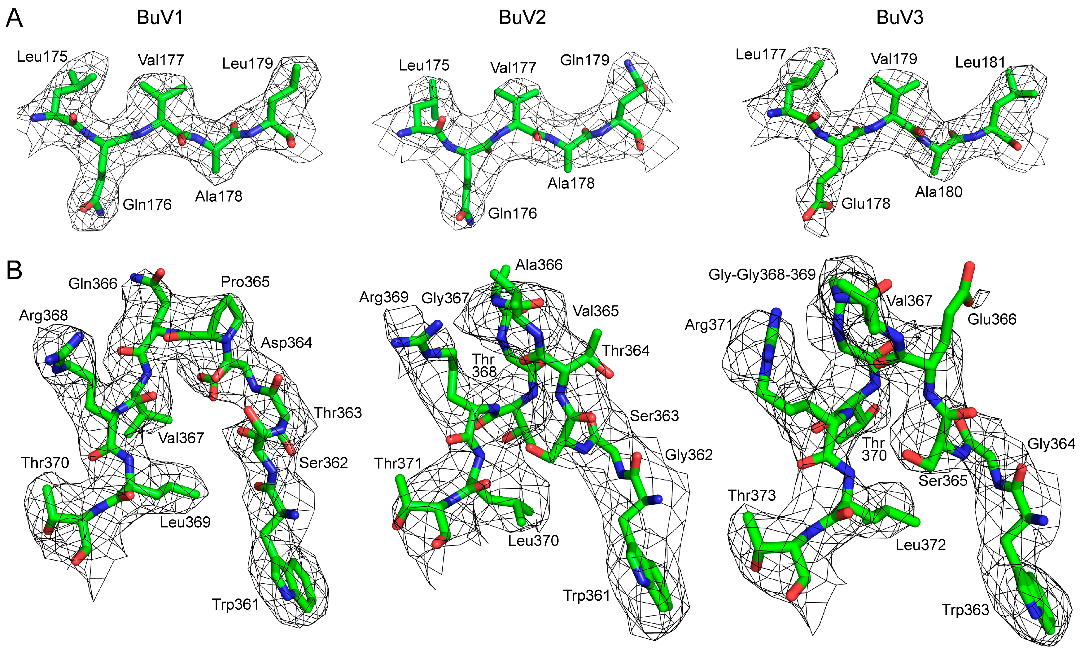 Viruses 10 00022 g002 Viruses 10 00022 g002